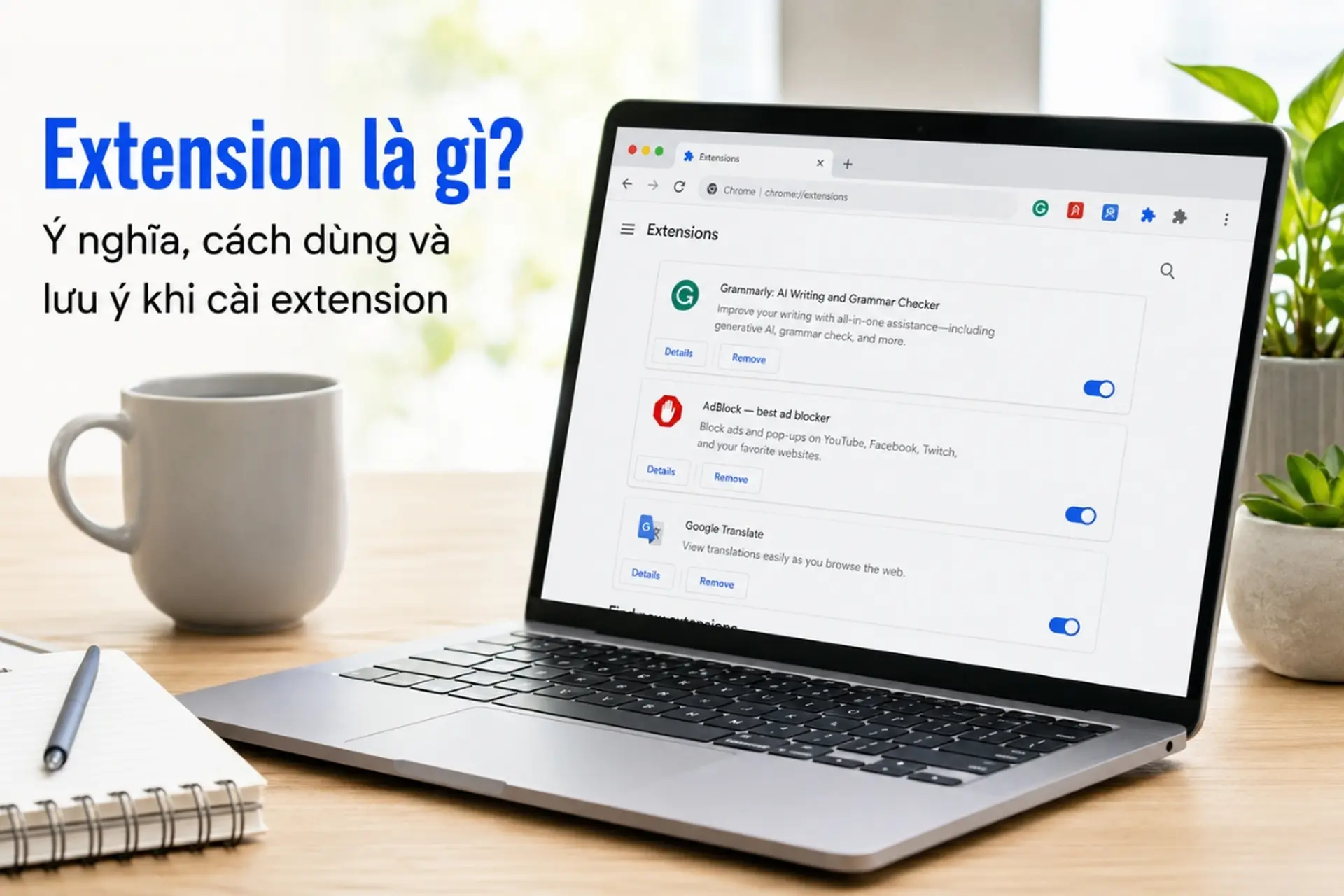 Extension là gì? Ý nghĩa, cách dùng và lưu ý khi cài extension