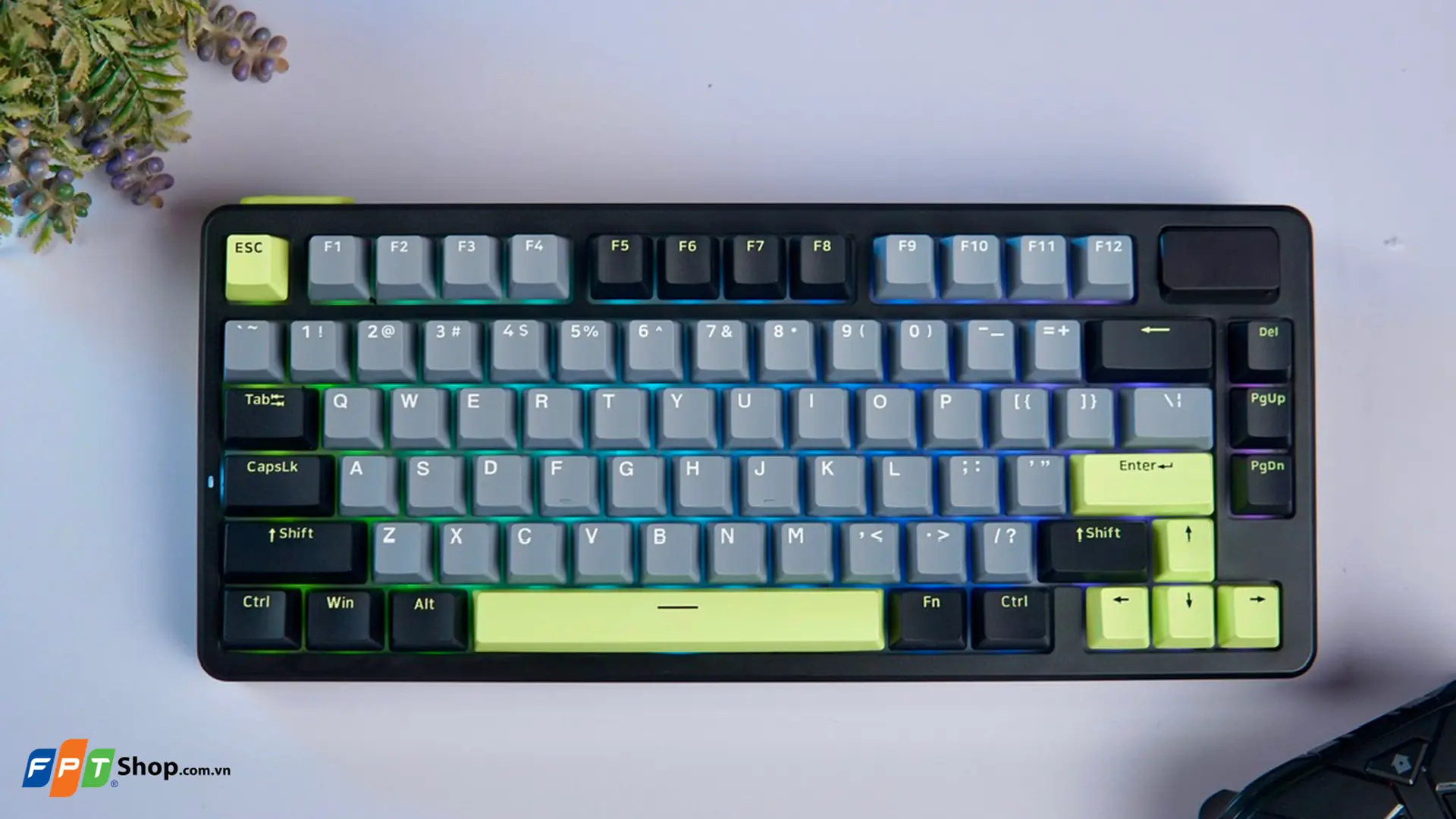 https://fptshop.com.vn/