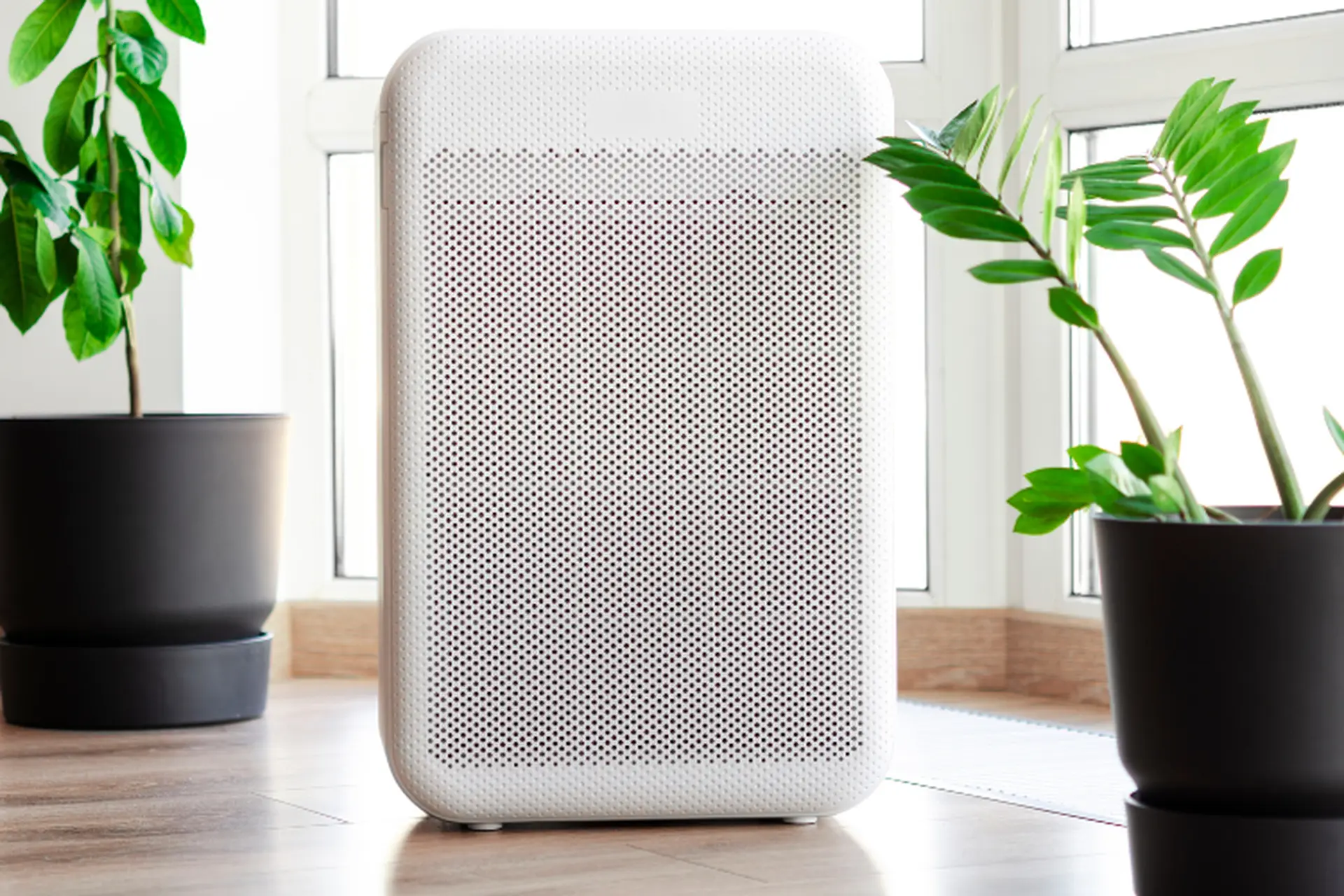 Mua máy lọc không khí ở đâu tại Bình Thuận để có không khí trong lành nhất? Tìm hiểu ngay