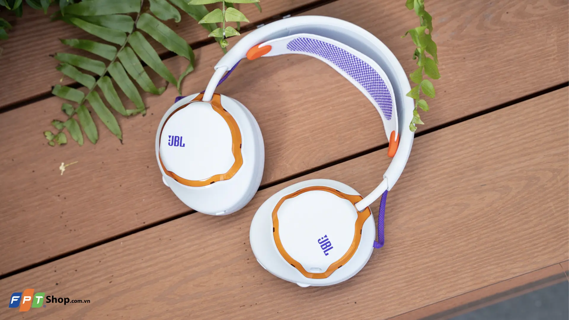 https://fptshop.com.vn/