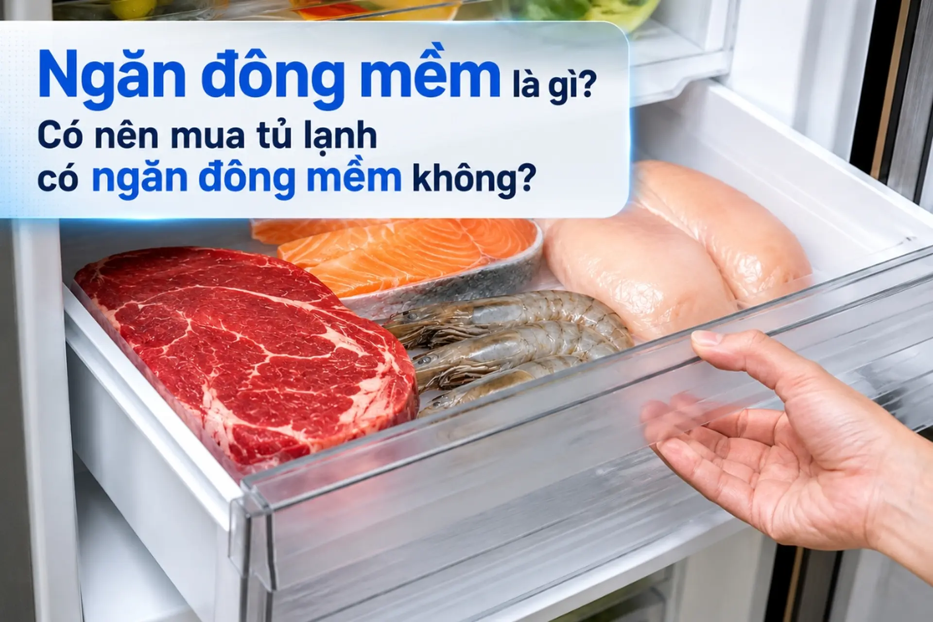 Ngăn đông mềm là gì? Có nên mua tủ lạnh có ngăn đông mềm không?