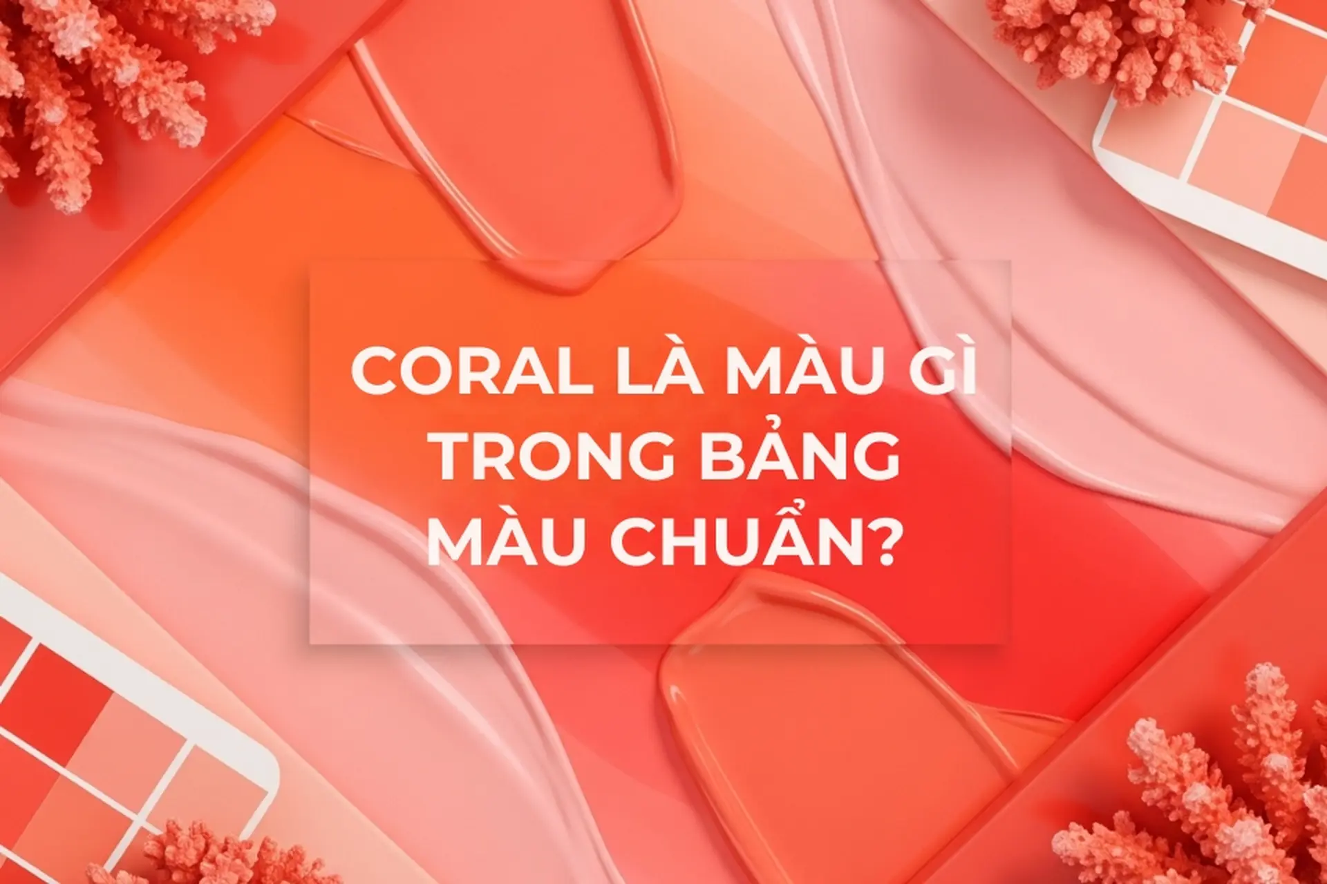 Coral là màu gì? Giải mã sức hút của tông màu "quốc dân" trong thời trang