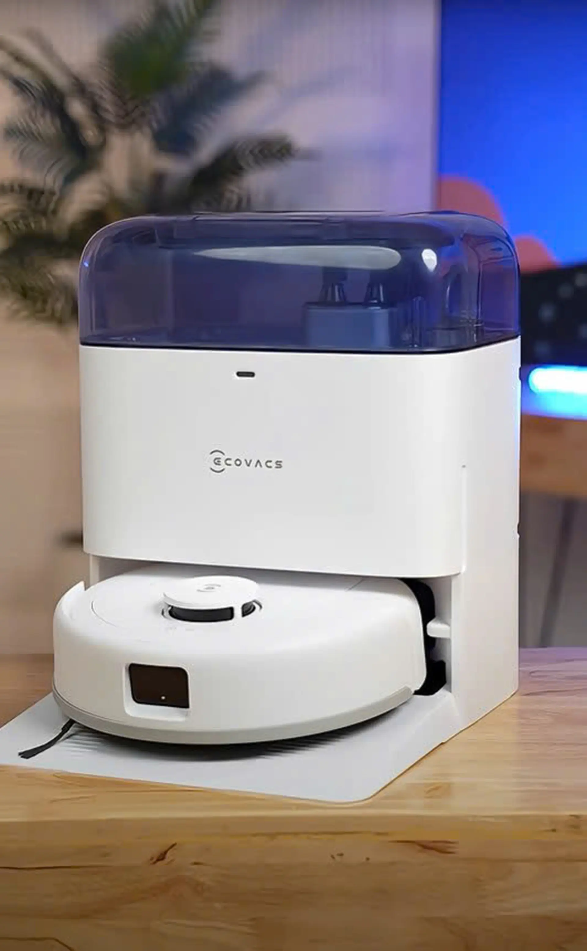 Robot hút bụi lau nhà Ecovacs Deebot Mini - Trợ thủ dọn nhà đắc lực thời hiện đại