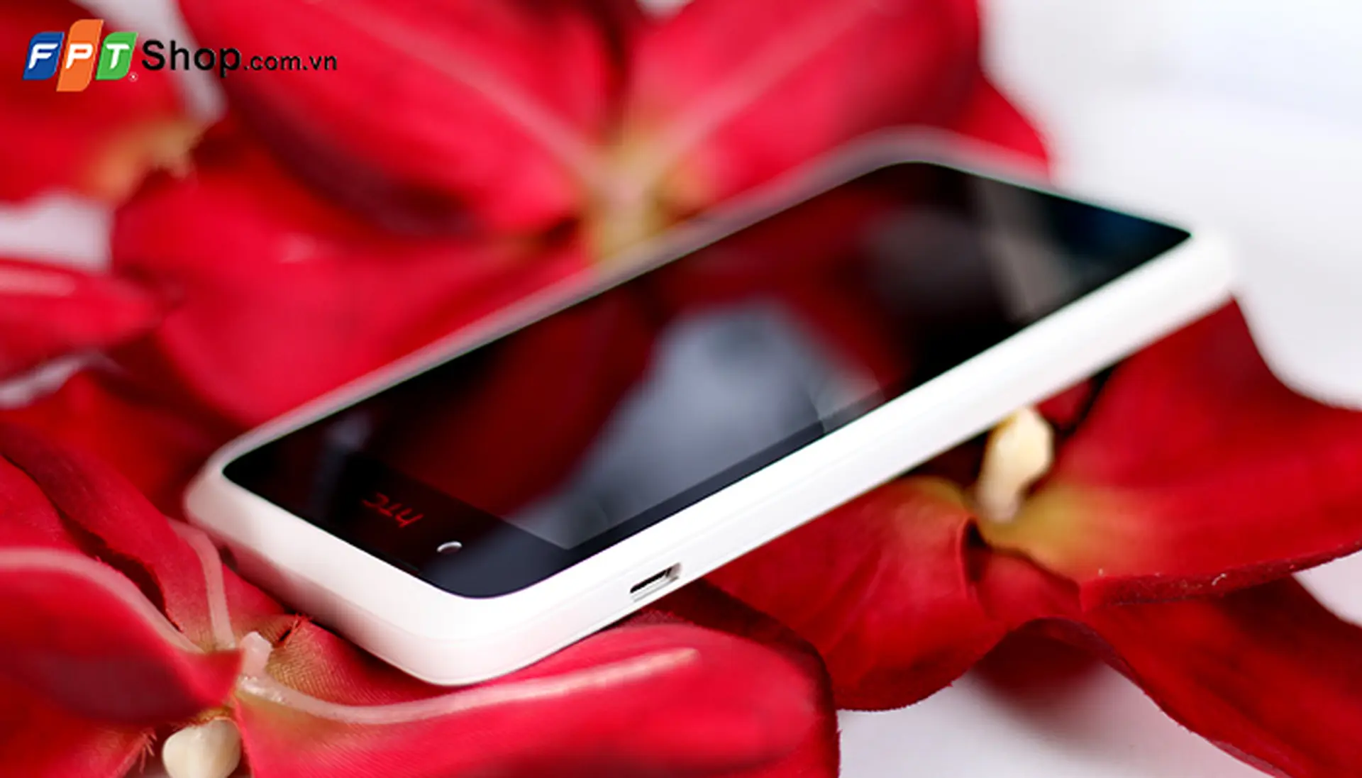 Top smartphone giá rẻ hấp dẫn nhất tháng 9 2014