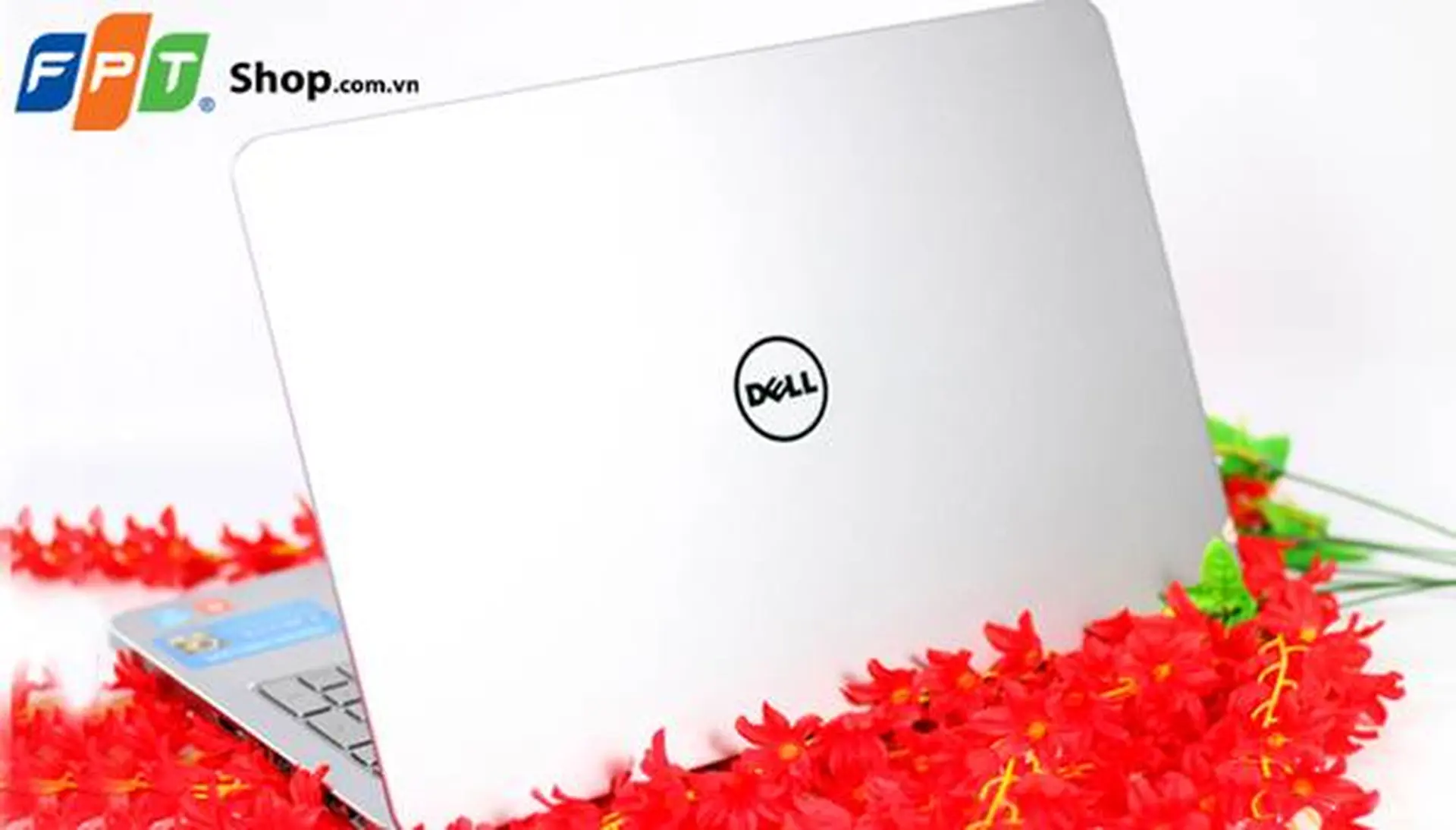 Những dòng laptop Dell phân khúc phổ thông mà bạn nên tham khảo