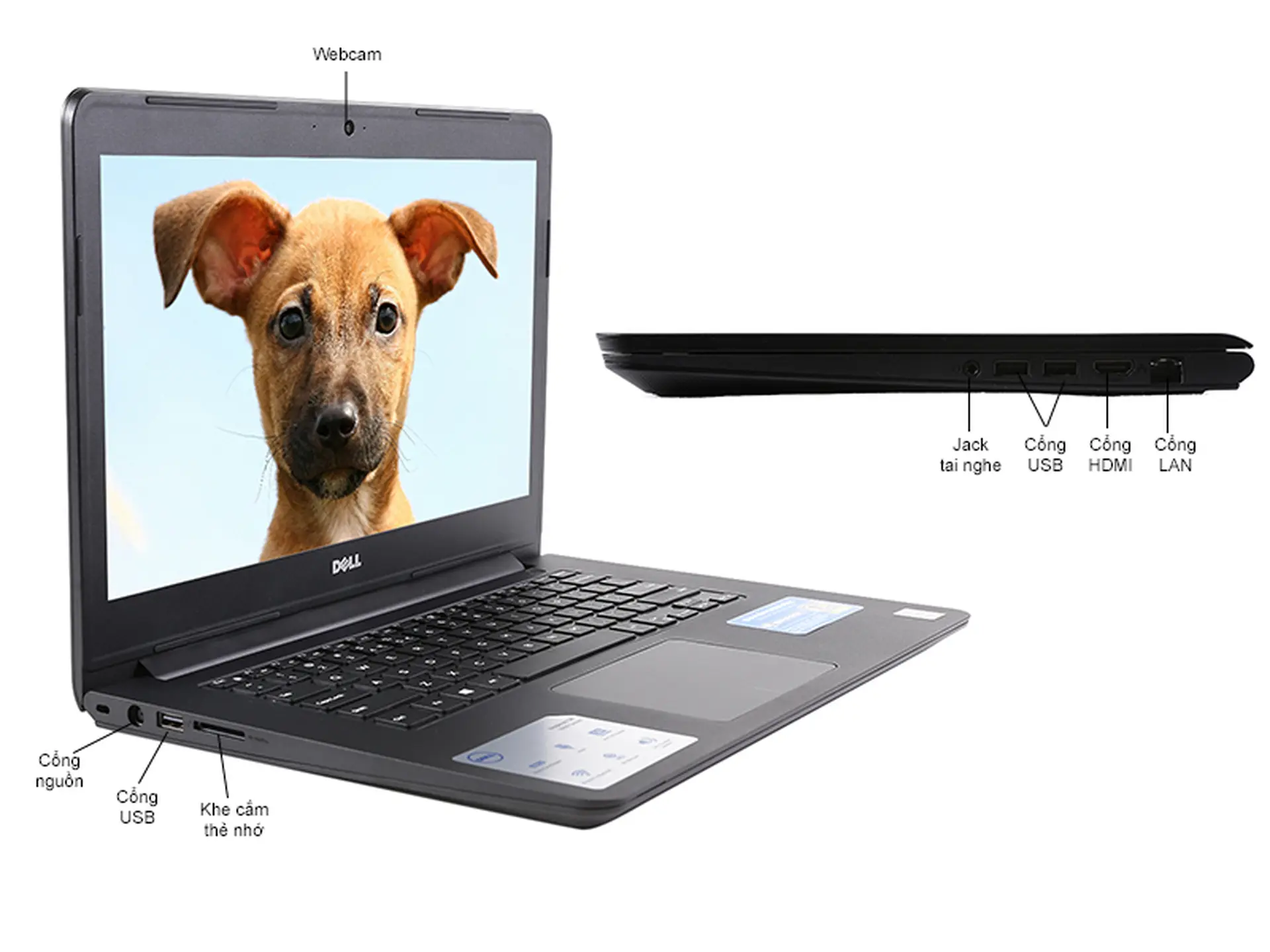 So sánh hai laptop Dell N5542 và Dell Ins N5442