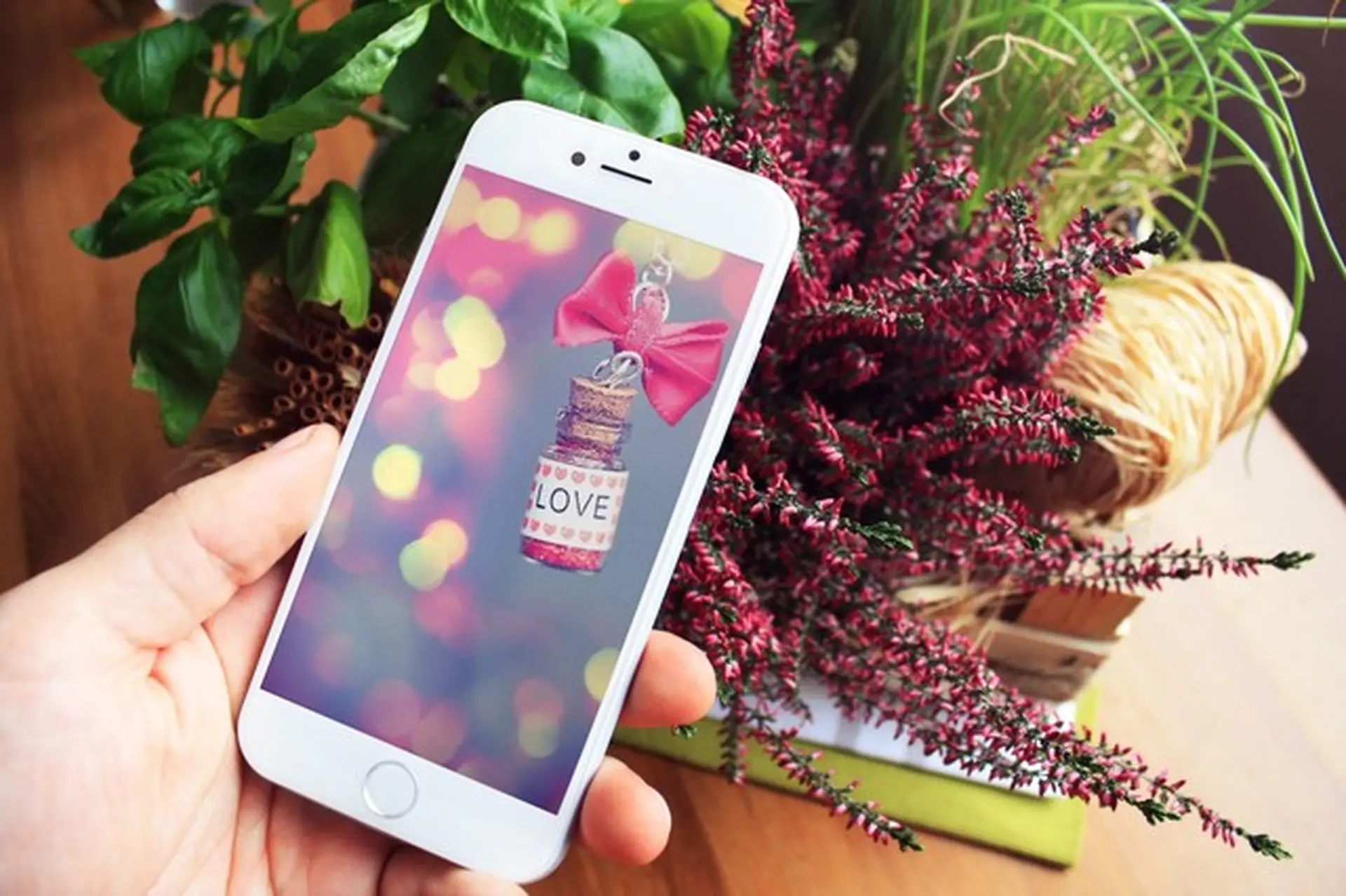 iPhone, iPad – Quà tặng sang trọng cho Valentine 2015
