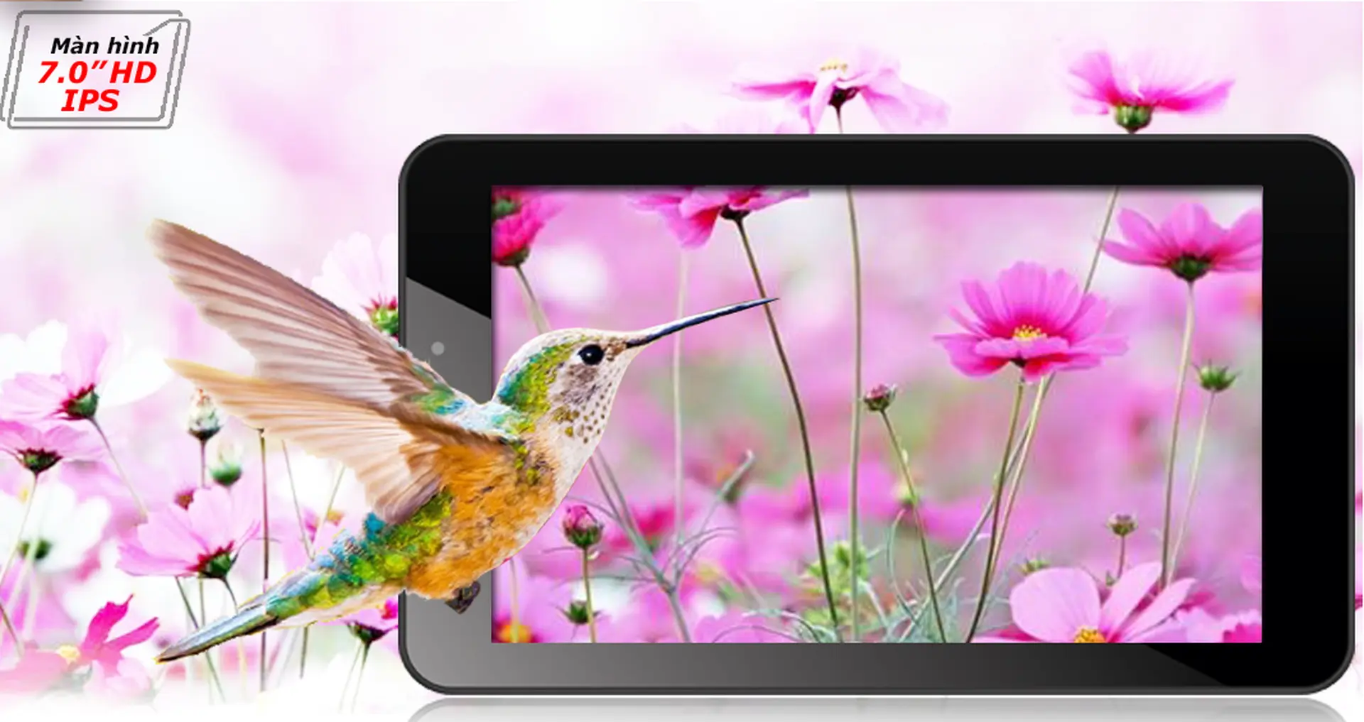 Đâu là sự khác biệt giữa Masstel Tab 740 và  Masstel Tab 840?