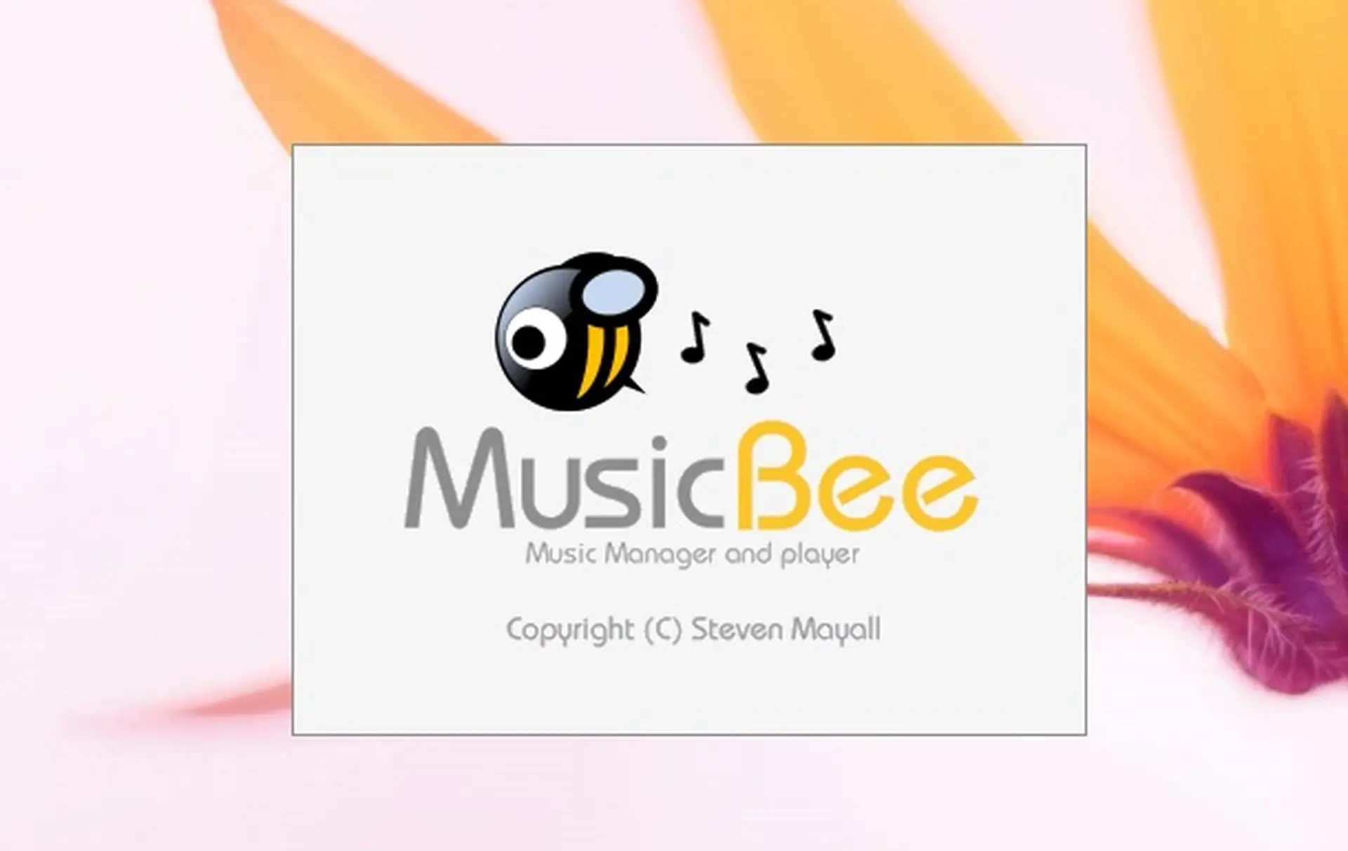 MusicBee – không đơn thuần chỉ là một phần mềm nghe nhạc