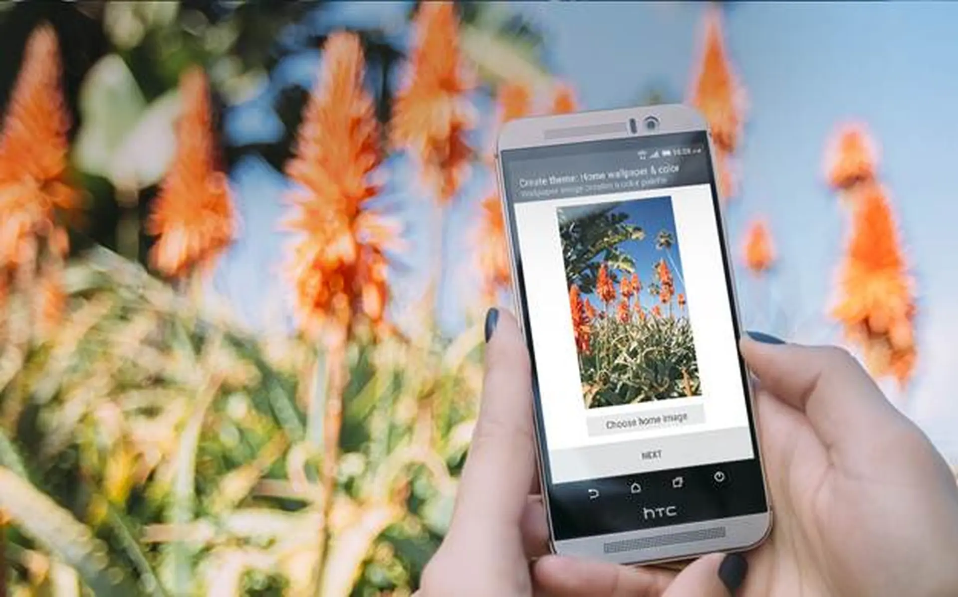 So sánh Sharp AQUOS Xx với HTC One M9: Về phần mềm, hiệu năng và camera