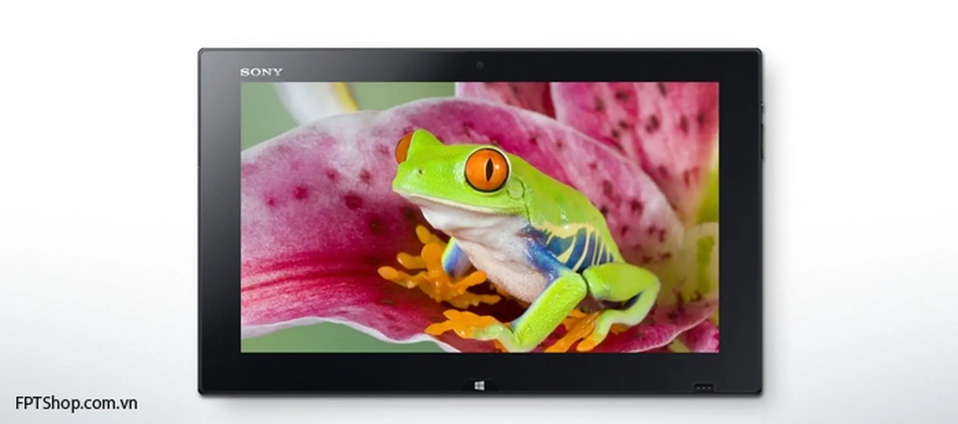 Vaio Tap 11 laptop cao cấp đến từ Sony, sự lựa chọn hoàn hảo cho bạn trẻ năng động