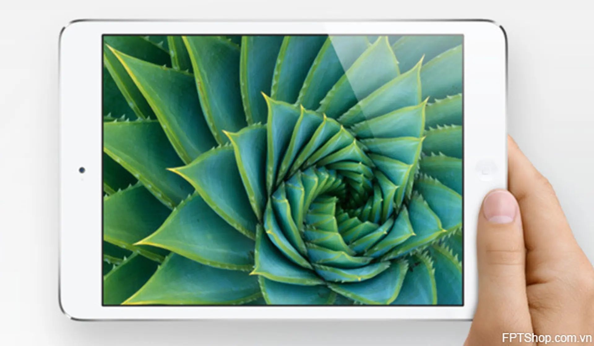Đánh giá chi tiết khả năng duyệt web và camera của iPad Mini