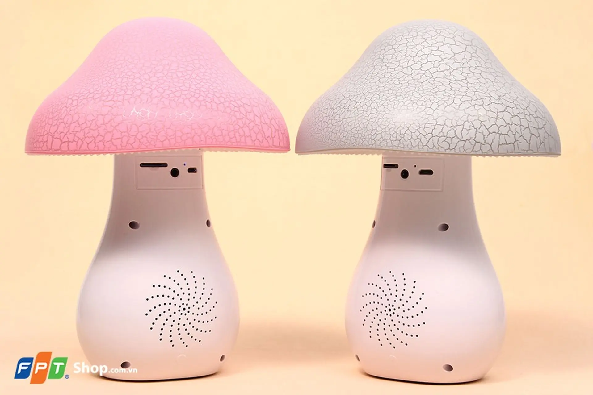 Loa bluetooth Rocky CR-X6