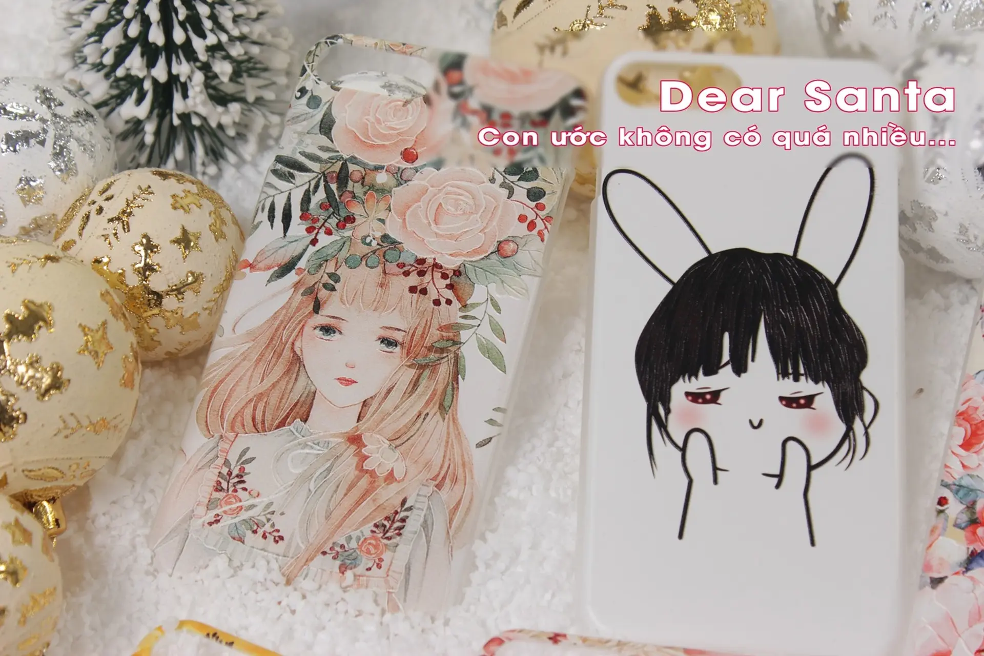 Dear Santa,