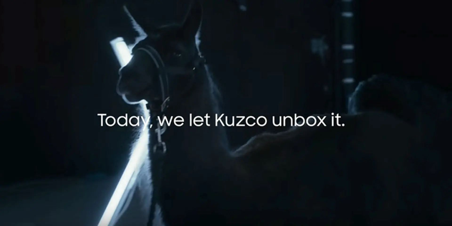 Samsung mời lạc đà để mở hộp Galaxy S7 đầu tiên trên thế giới