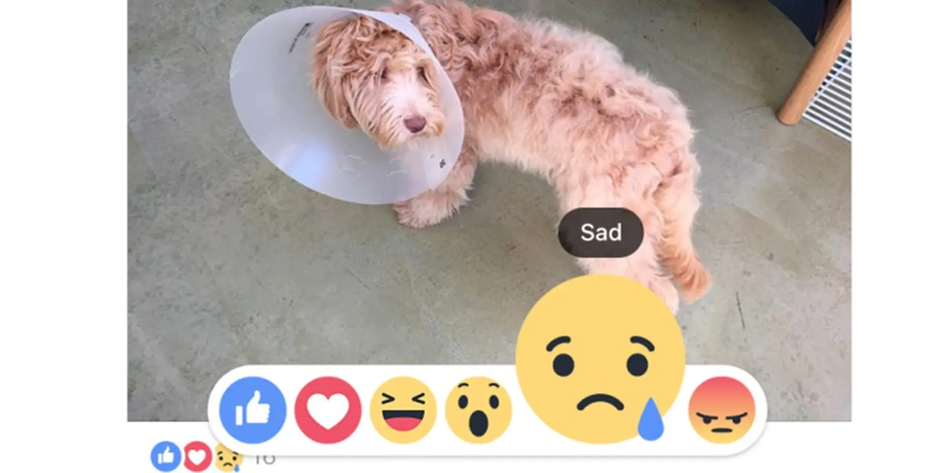 Facebook cập nhật tính năng cảm xúc mới - Vẫn chưa có dislike