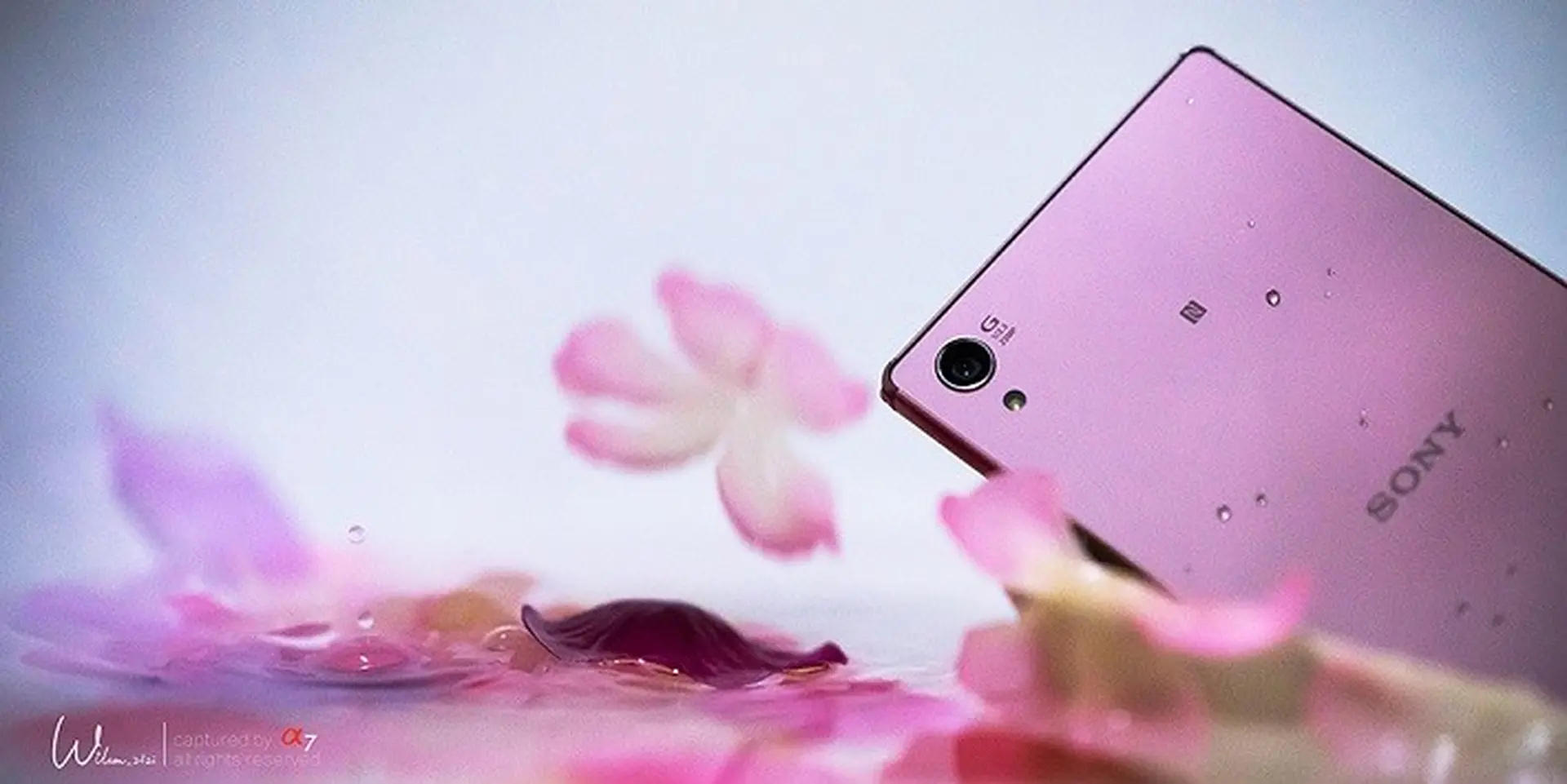 Chiêm ngưỡng bộ ảnh Xperia Z5 Premium phấn anh đào đầy mê hoặc