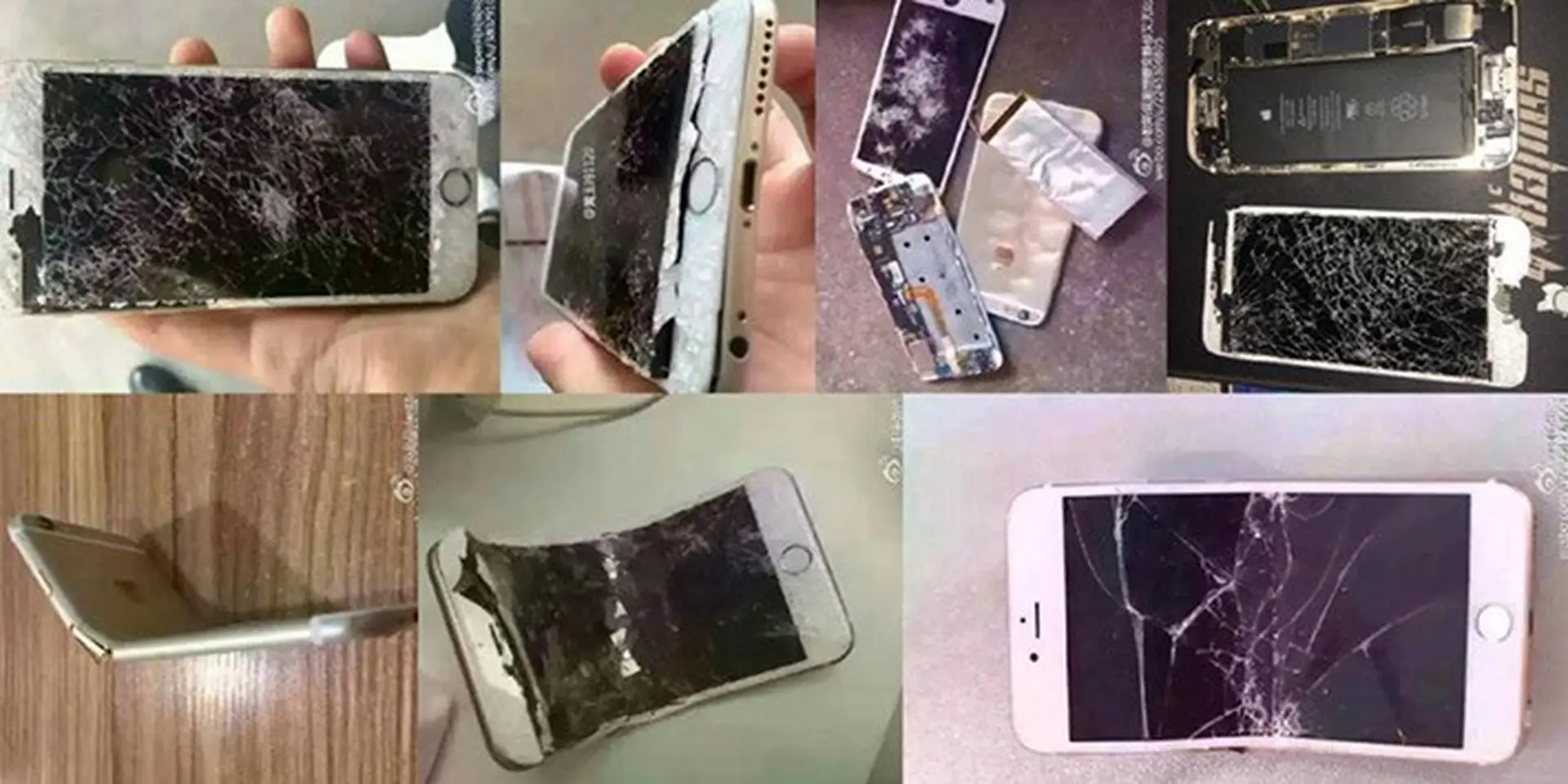 Trung Quốc: Cấm dùng iPhone sau phán quyết đường lưỡi bò