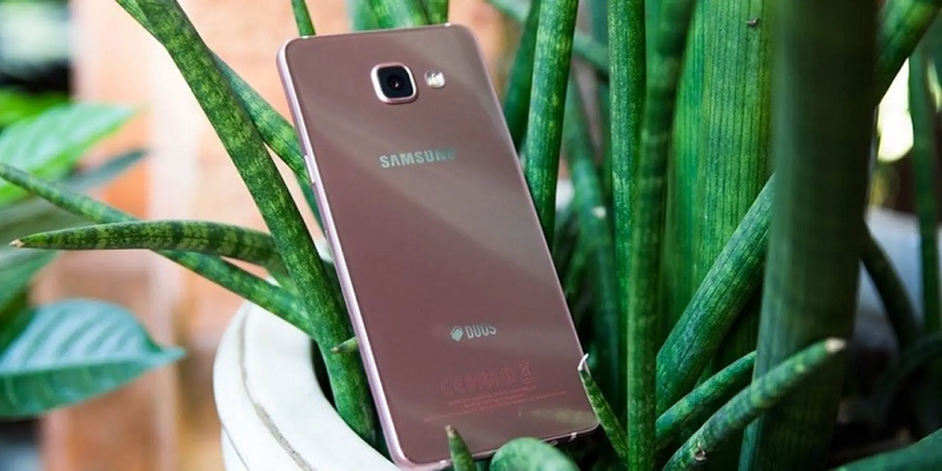 Top 4 smartphone ngoại hình long lanh dành cho phái nữ