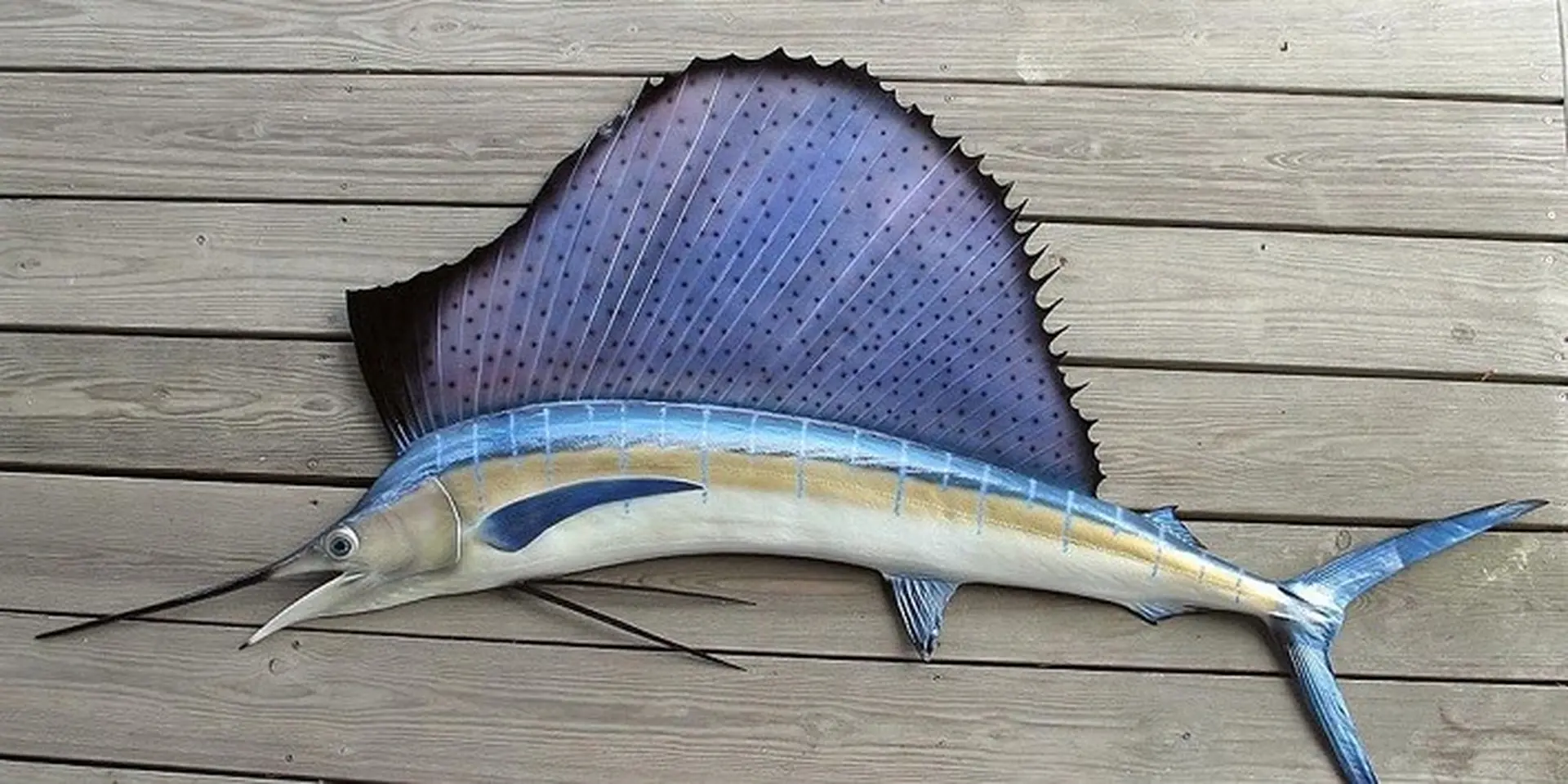 Lộ ảnh thật của Goolge Nexus Sailfish: thiết kế đẹp lạ từ kim loại và kính