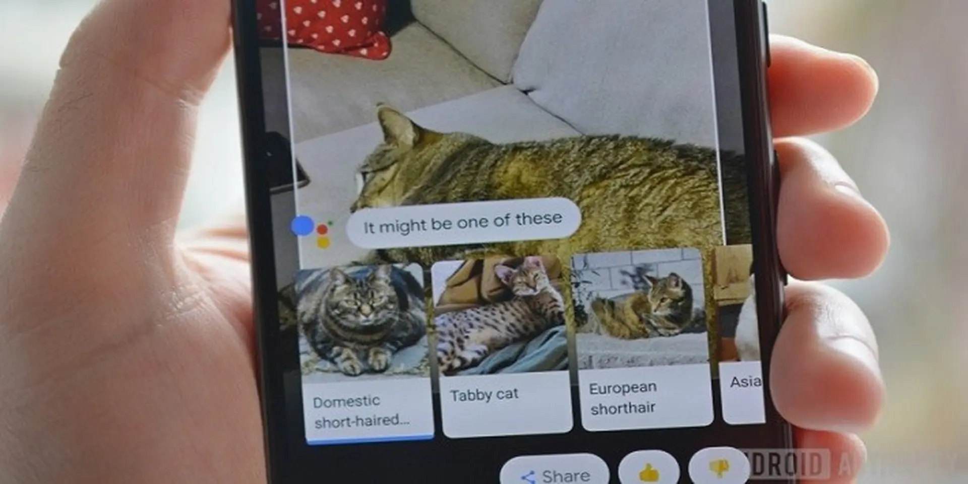 Tính năng Google Lens bắt đầu được đưa lên trợ lý ảo Google Assistant