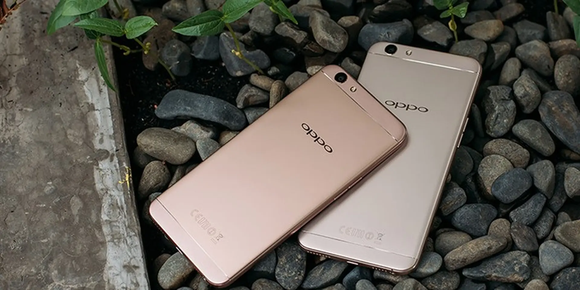 Hình ảnh thực tế OPPO F1s 2017: hai tùy chọn màu cực chất