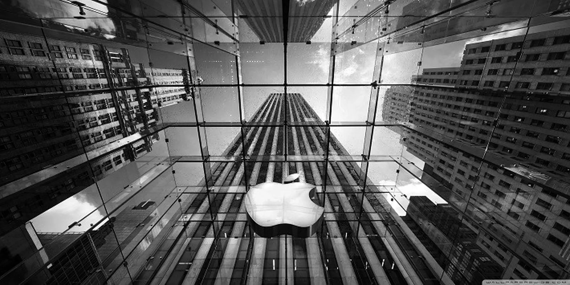 Nếu ví Apple như "con hổ" của làng công nghệ, thì "con hổ" đó đang ngày một mạnh mẽ hơn