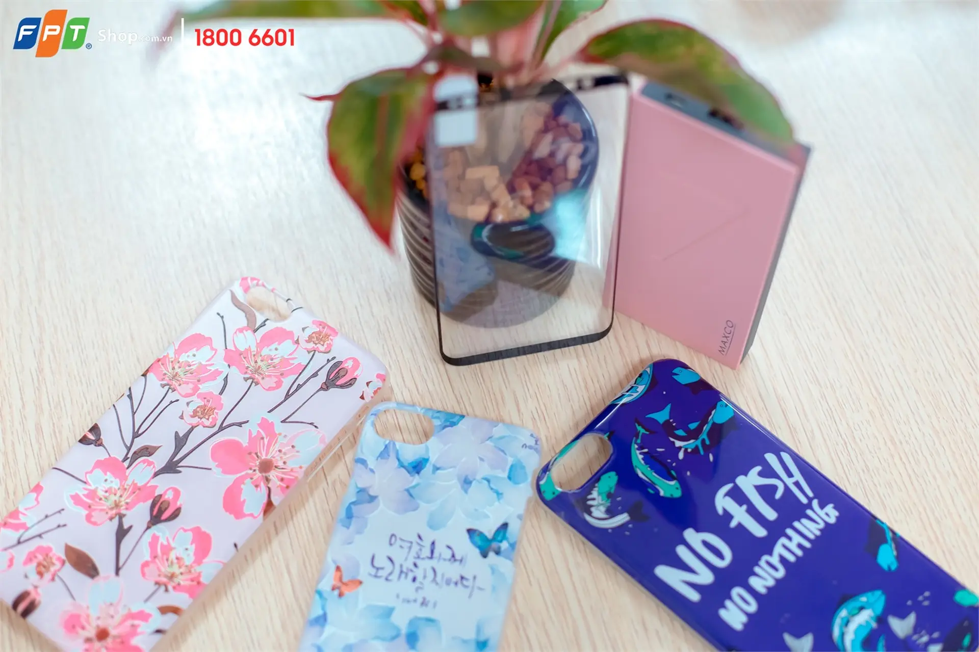 Giảm ngay 20% cho khách hàng chọn mua combo phụ kiện 3 món tại FPT Shop