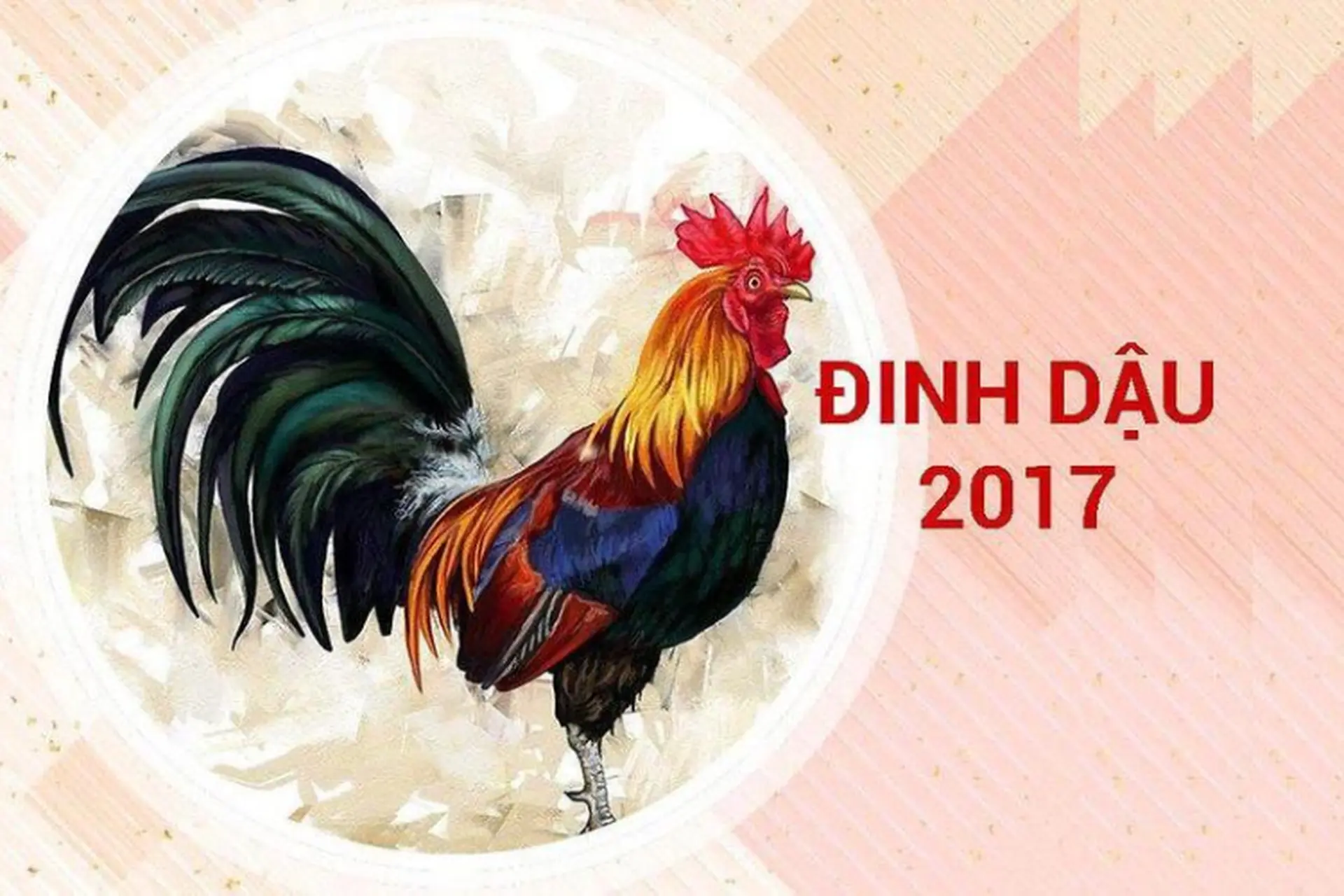 2017 tuổi gì? Khám phá tất tần tật thông tin hữu ích liên quan đến người sinh năm 2017 
