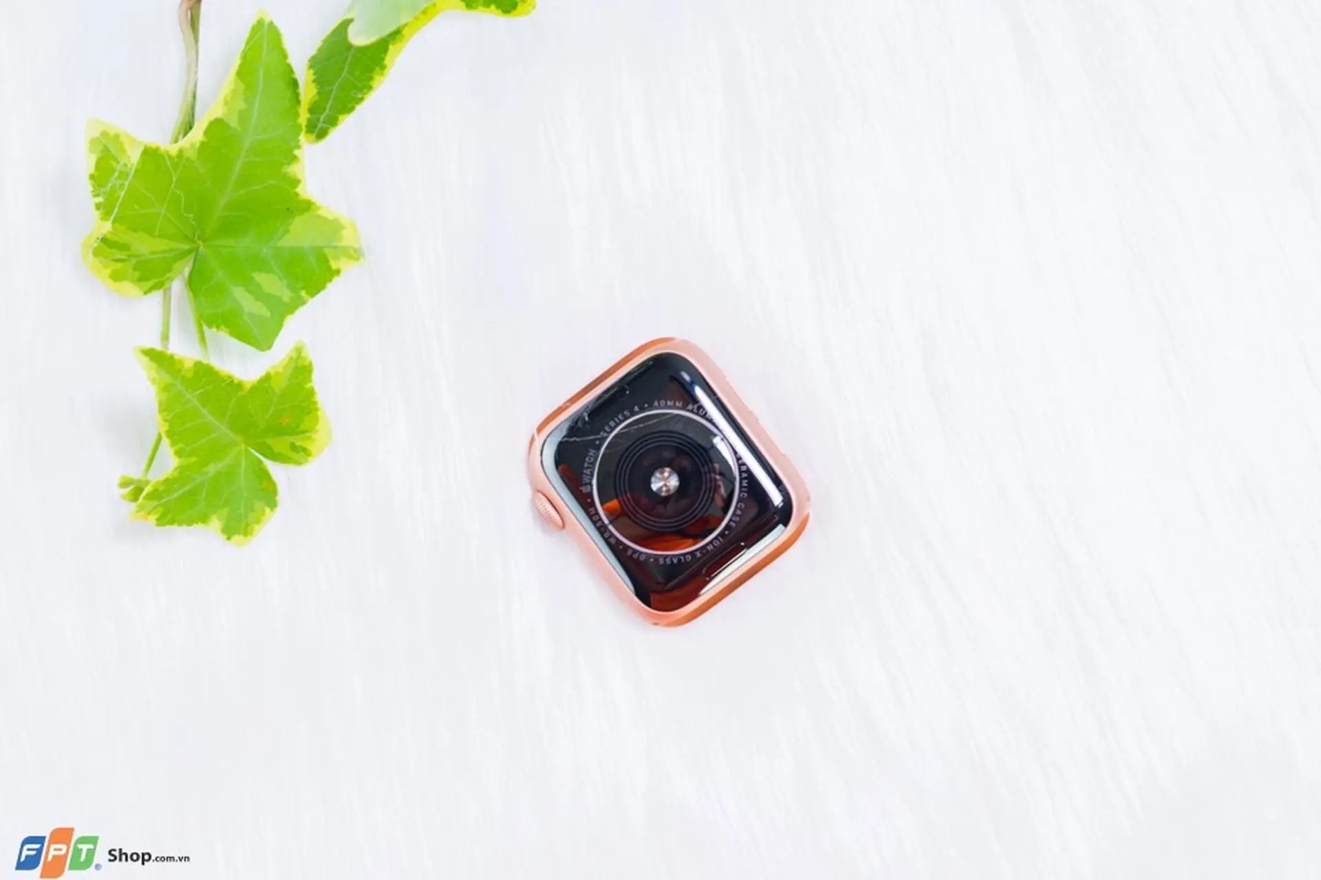 https://fptshop.com.vn/