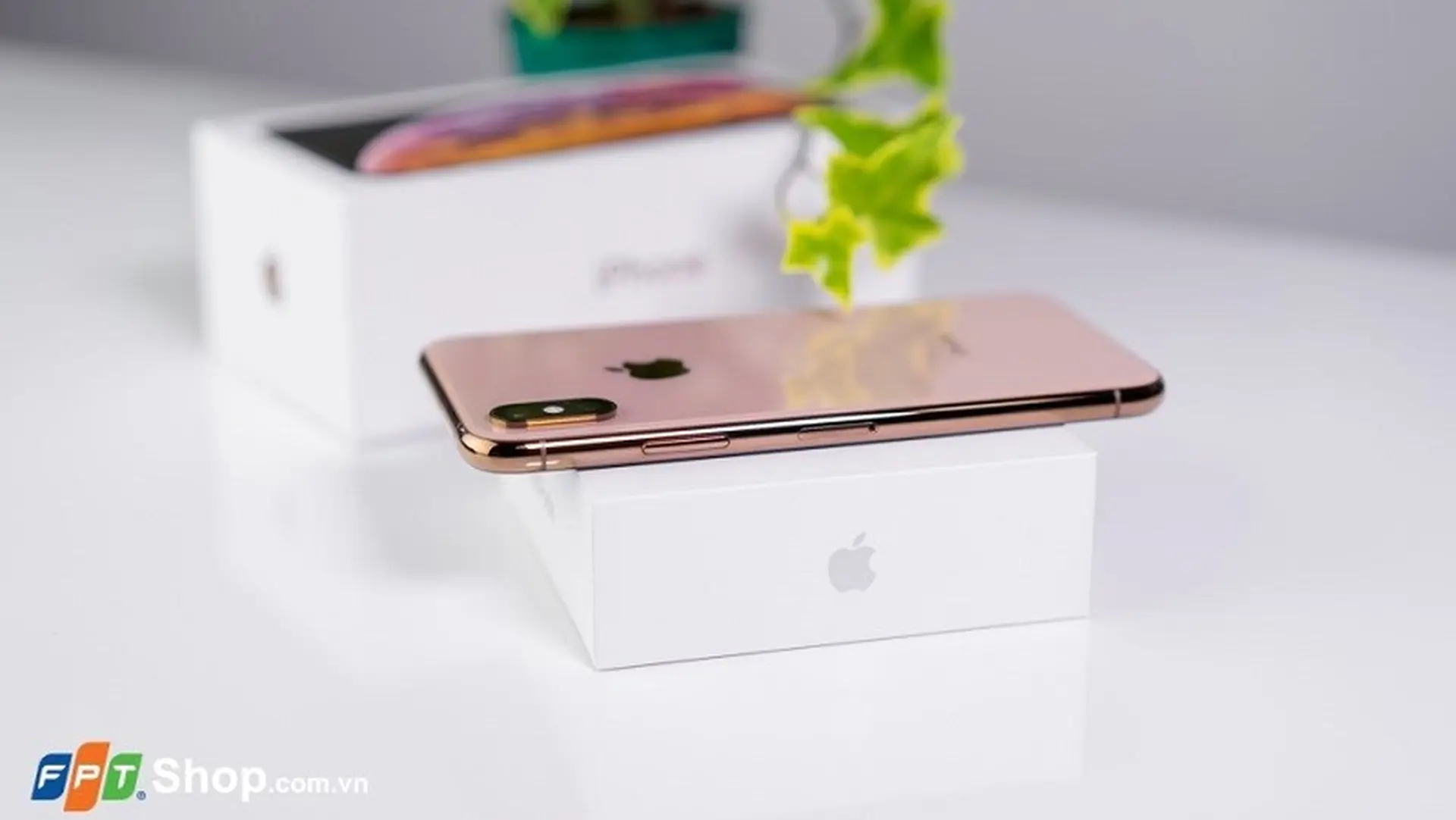 Nhóm thanh niên chơi trội khi mang theo cả bồn tắm đựng đầy tiên đi mua iPhone XS