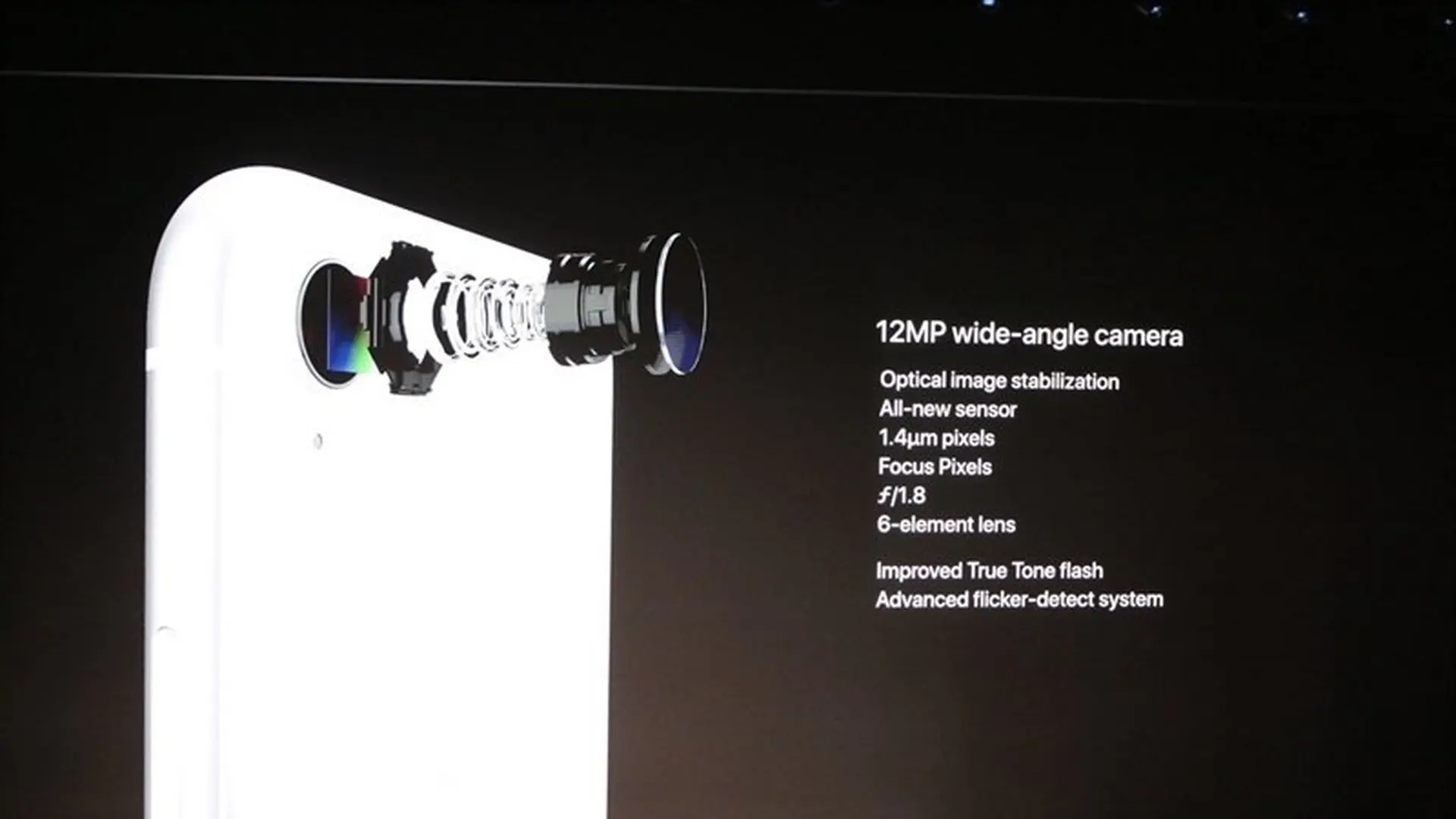 Đây là những hình ảnh cực đẹp mắt được chụp từ camera đơn trên iPhone XR