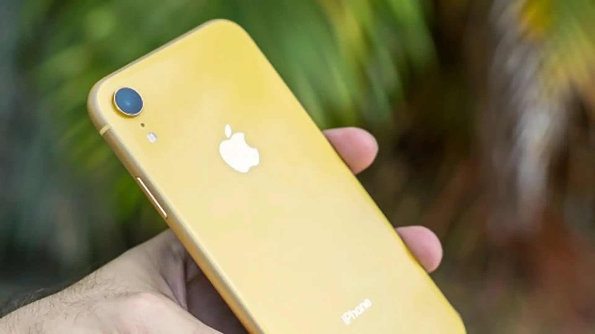 Các chuyên gia phân tích cho rằng Apple sẽ tiếp tục cắt giảm sản xuất iPhone XR