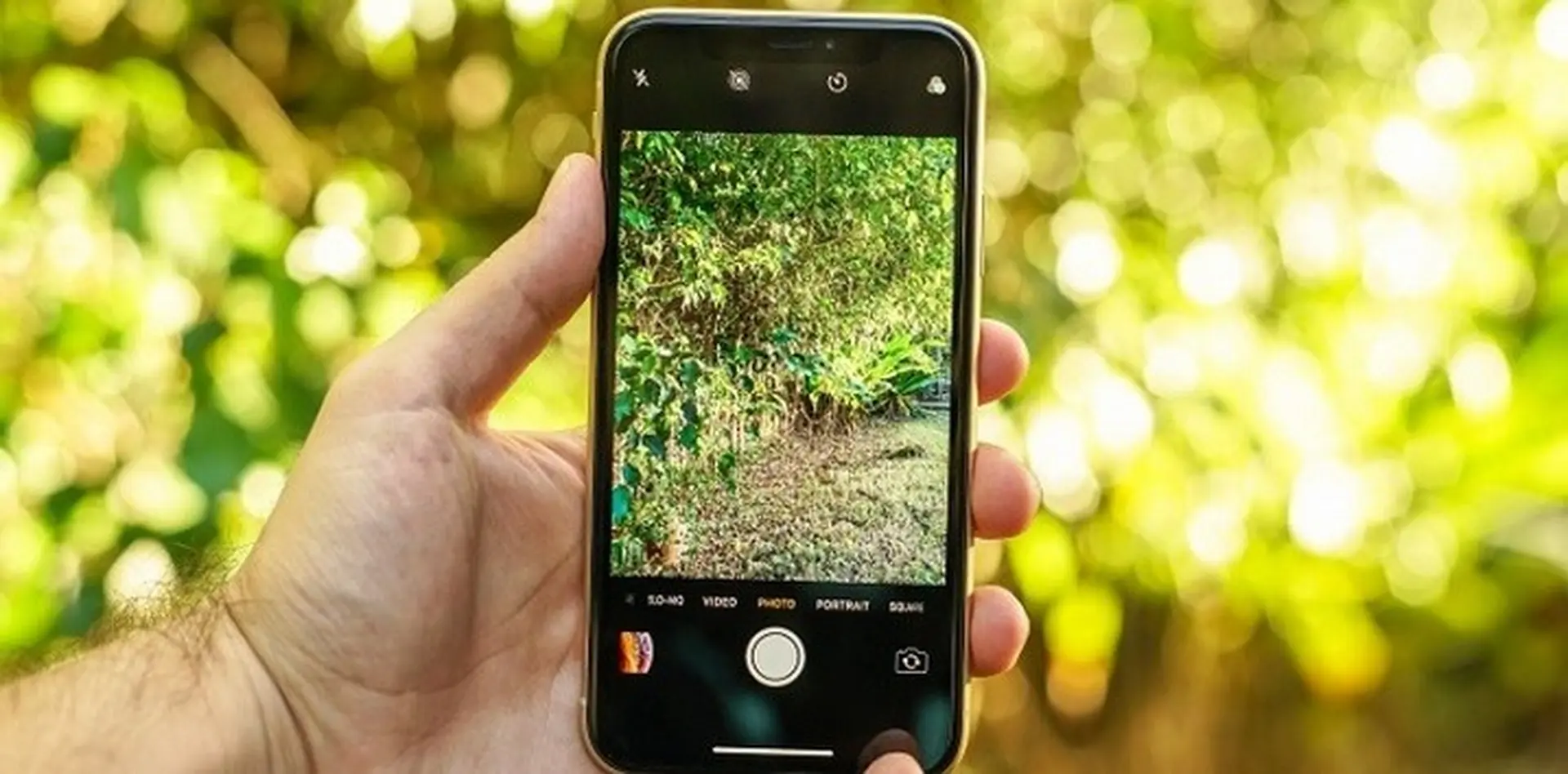 DxoMark đánh giá iPhone Xr là chiếc smartphone camera đơn chụp ảnh tốt nhất