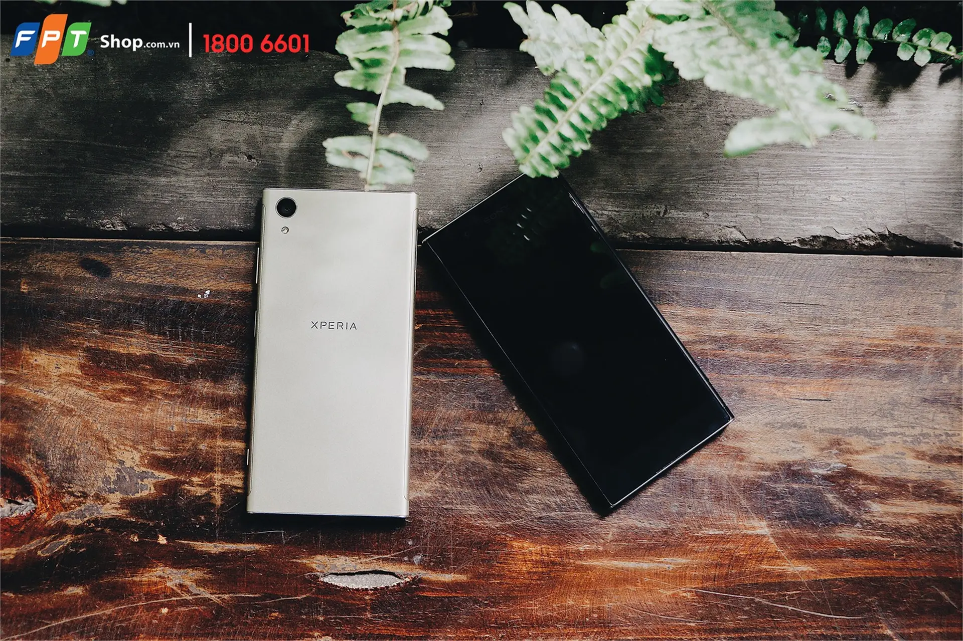 Chỉ từ 3,59 triệu đồng sở hữu ngay Sony Xperia XA1 Plus và L1 Dual tại FPT Shop