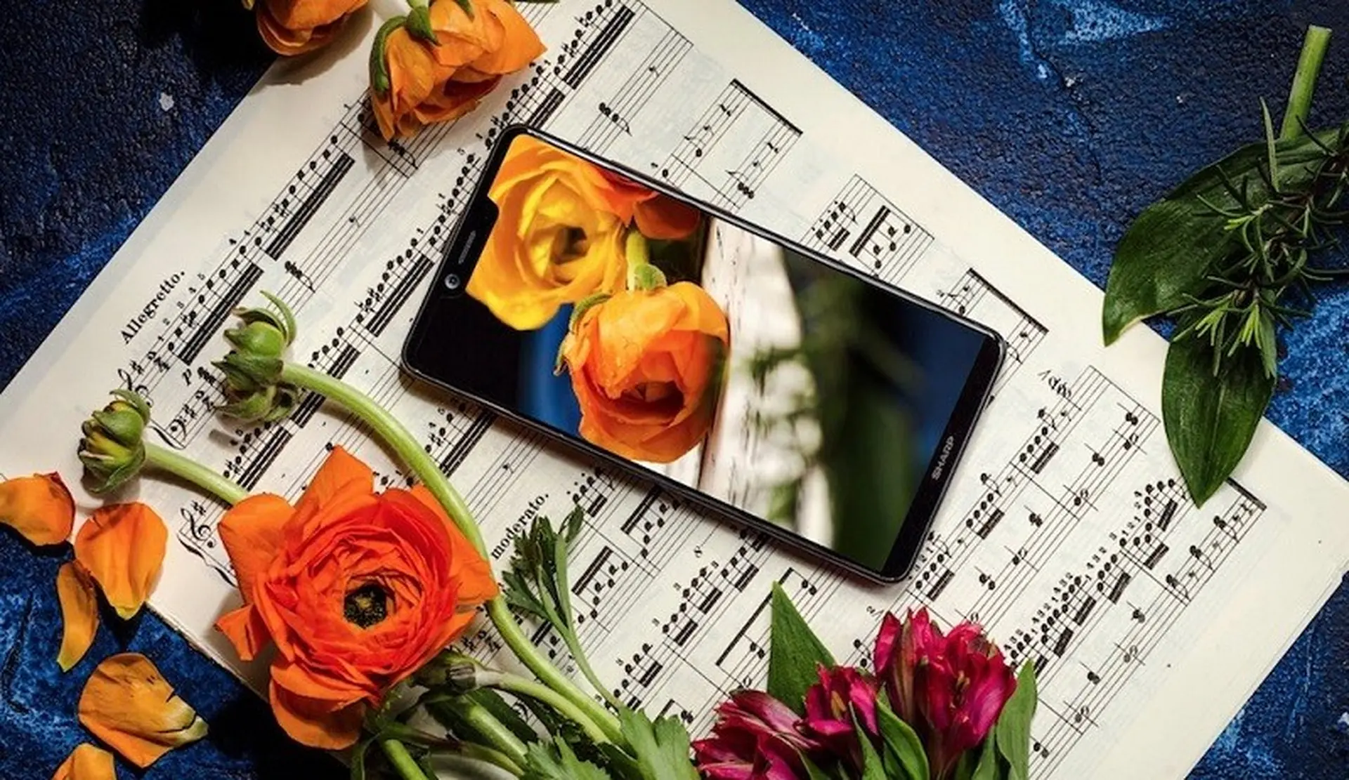 Mời chiêm ngưỡng bộ ảnh chính thức đẹp lung linh của Sharp Aquos S3 trước ngày ra mắt