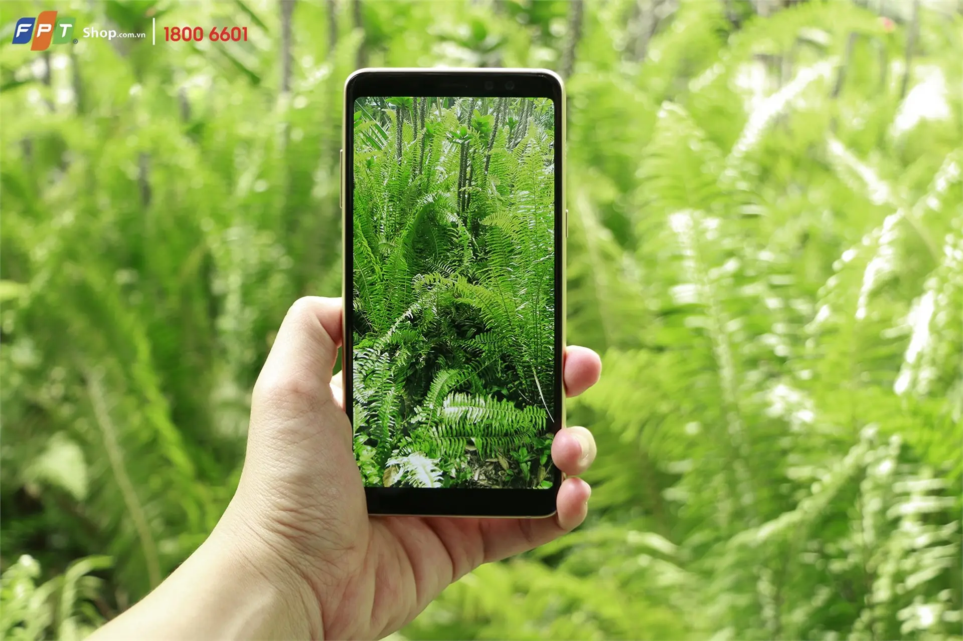 Nhận ngay cặp SDP chính hãng Samsung trị giá 1,09 triệu đồng khi giới thiệu bạn bè mua Galaxy A8+