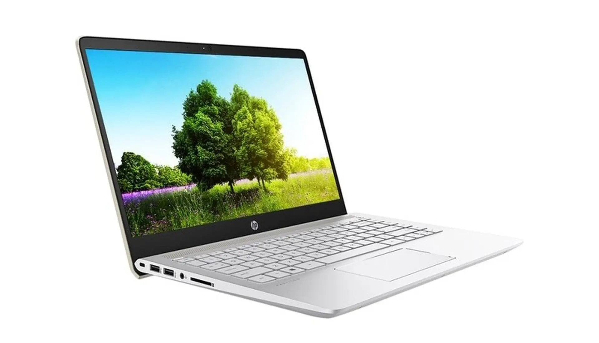 Tư vấn chọn laptop doanh nhân trong năm 2018