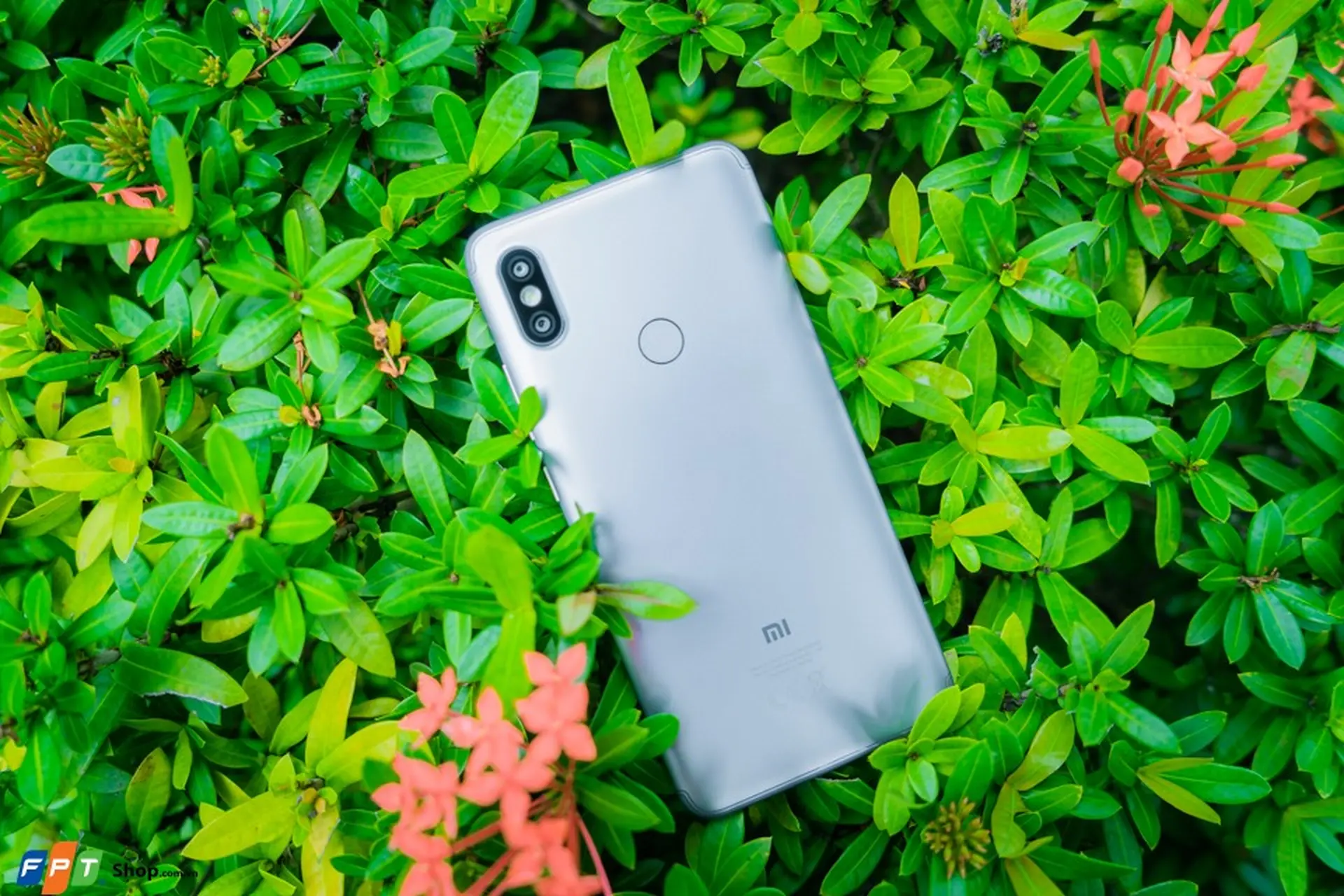 Xiaomi Redmi S2: Món hời trong phân khúc giá dưới 4 triệu đồng