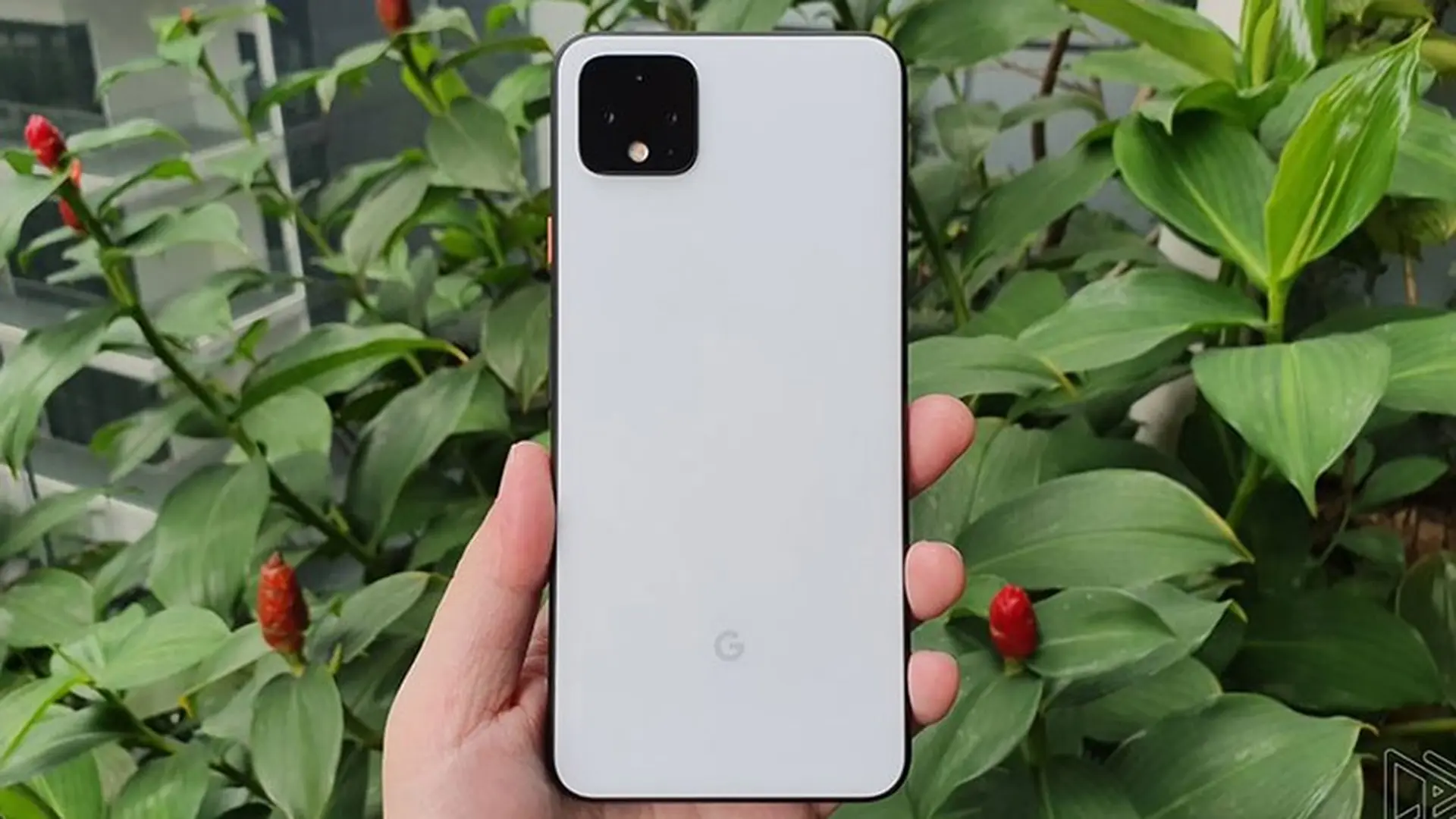 Mời xem những hình ảnh “cực chất” được chụp từ Google Pixel 4