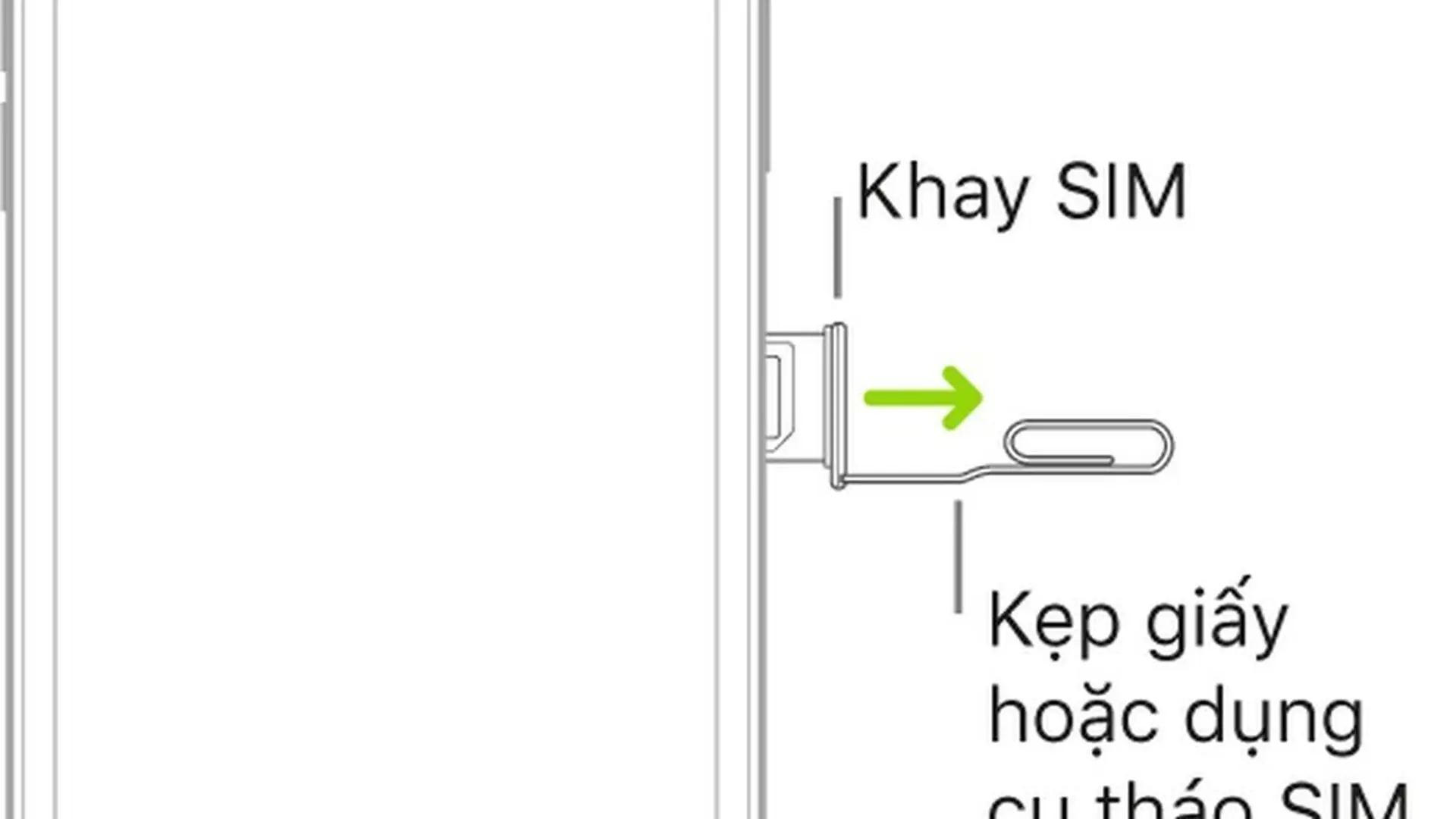 Thiết lập dịch vụ di động trên iPhone