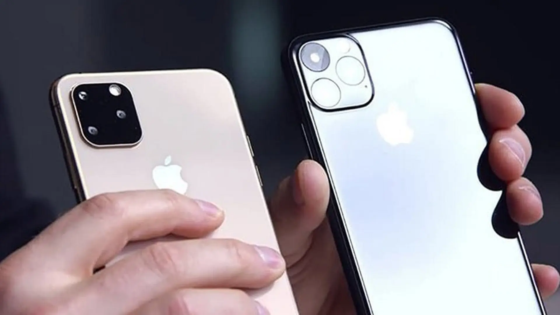 Một số người dùng than phiền iPhone 11 dễ bị trầy xước