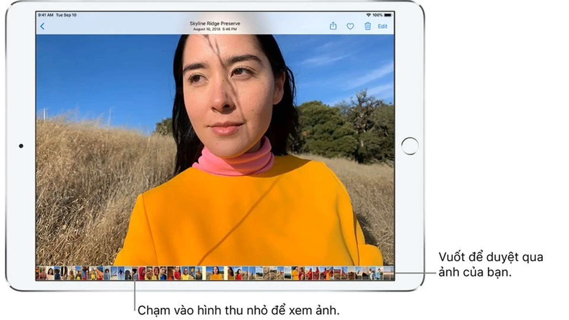 Xem ảnh và video trên iPadOS 13