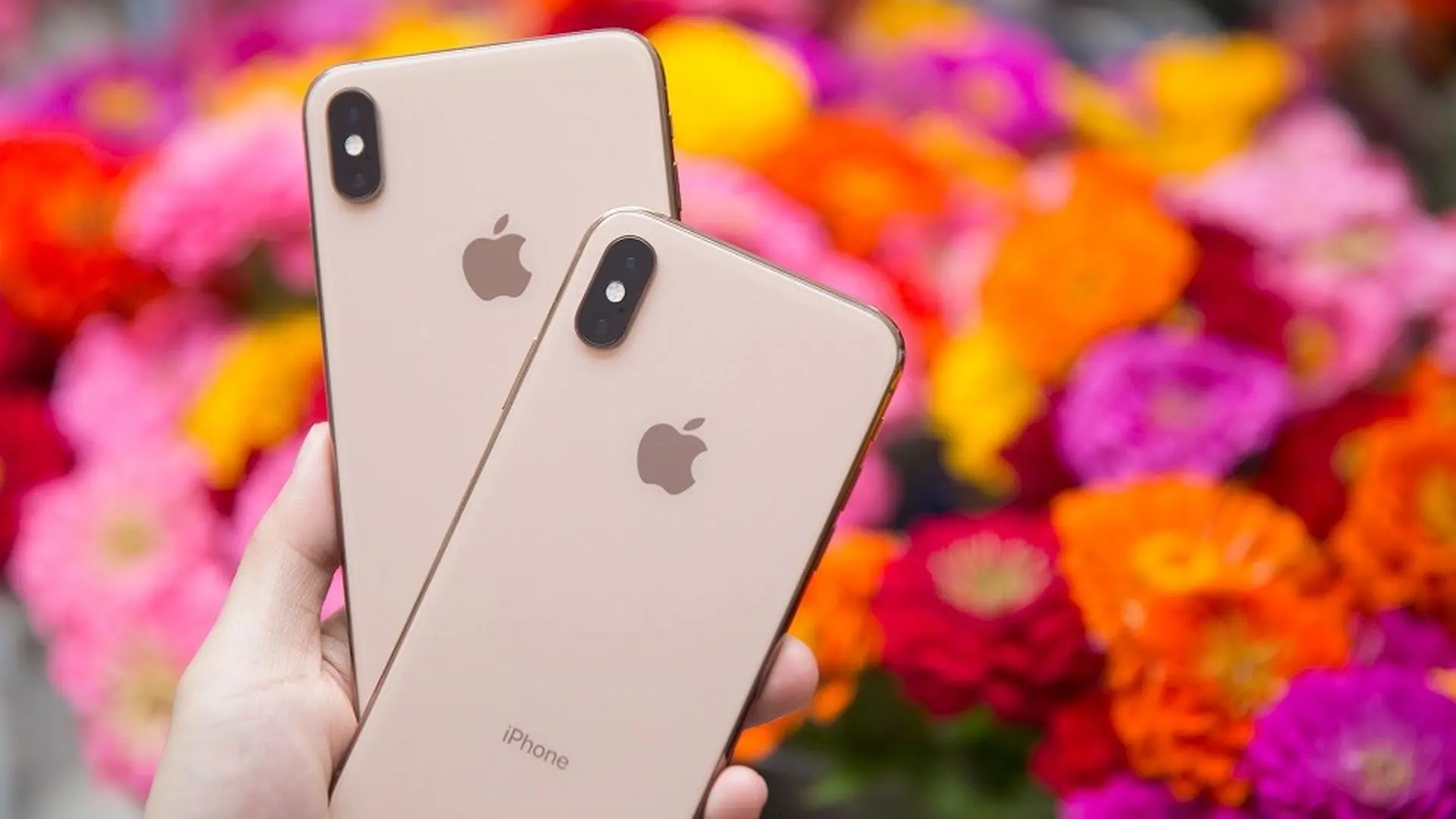 Chu kỳ nâng cấp iPhone hiện tại đã là 4 năm thay vì 3 năm như năm 2018