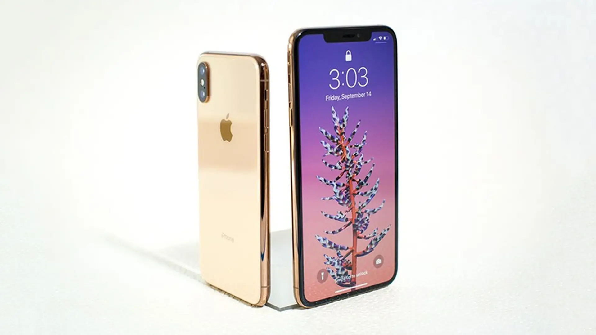 Apple hợp tác với Alipay ra gói trả góp miễn lãi suất 2 năm để kích cầu iPhone ở Trung Quốc