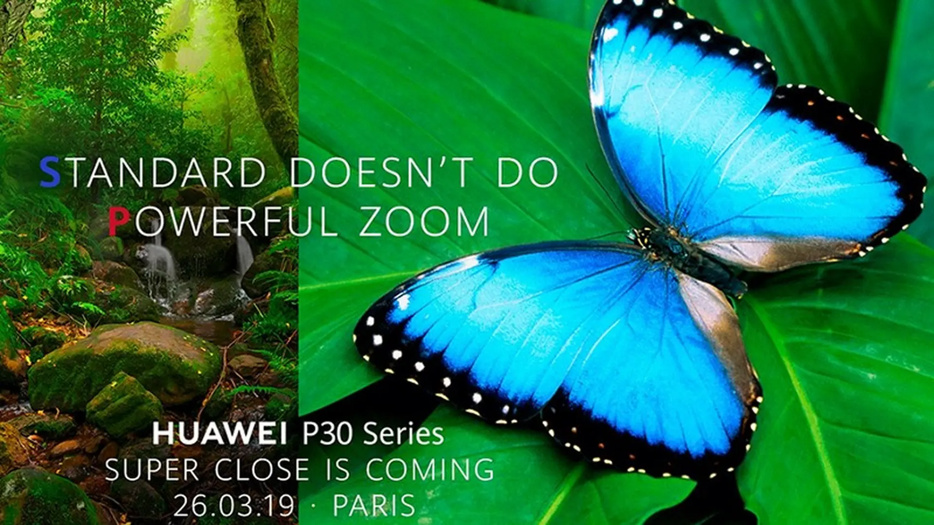 Sau OPPO, đến lượt Huawei “khoe” khả năng zoom ấn tượng của camera trên flagship P30