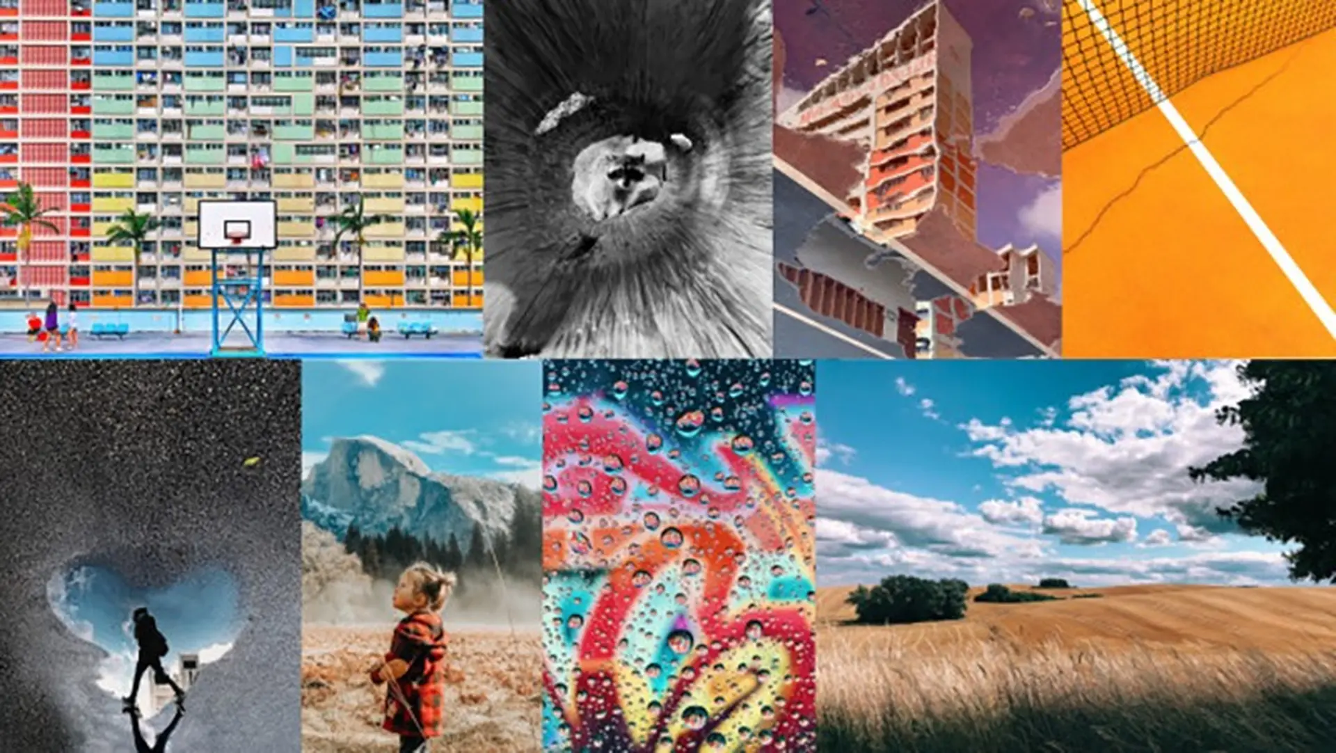 Đây là 10 bức ảnh tuyệt đẹp chiến thắng cuộc thi Shot On iPhone do Apple tổ chức