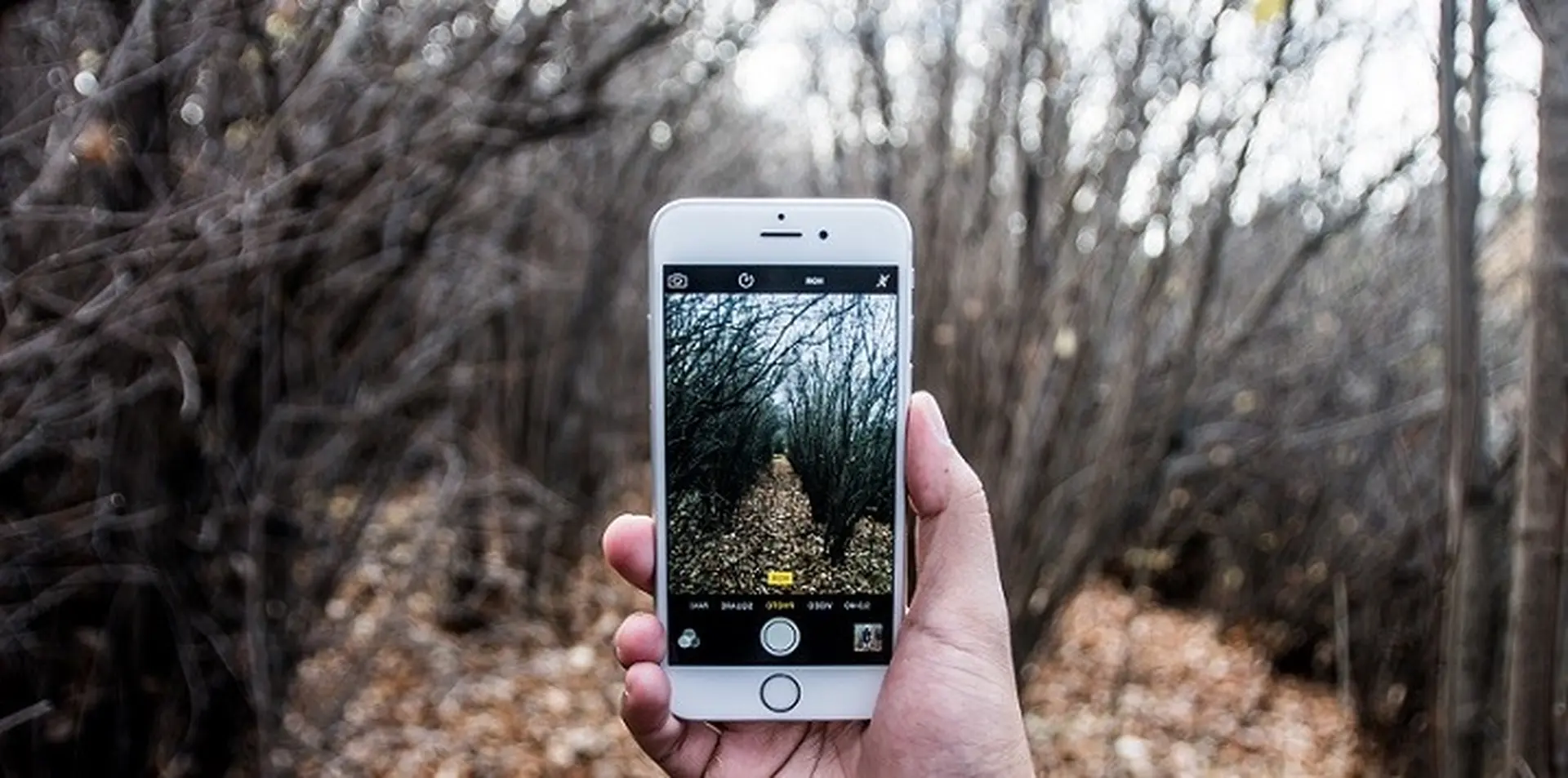Ai mà ngờ được, iPhone 6 giúp chủ nhân đạt giải cuộc thi nhiếp ảnh