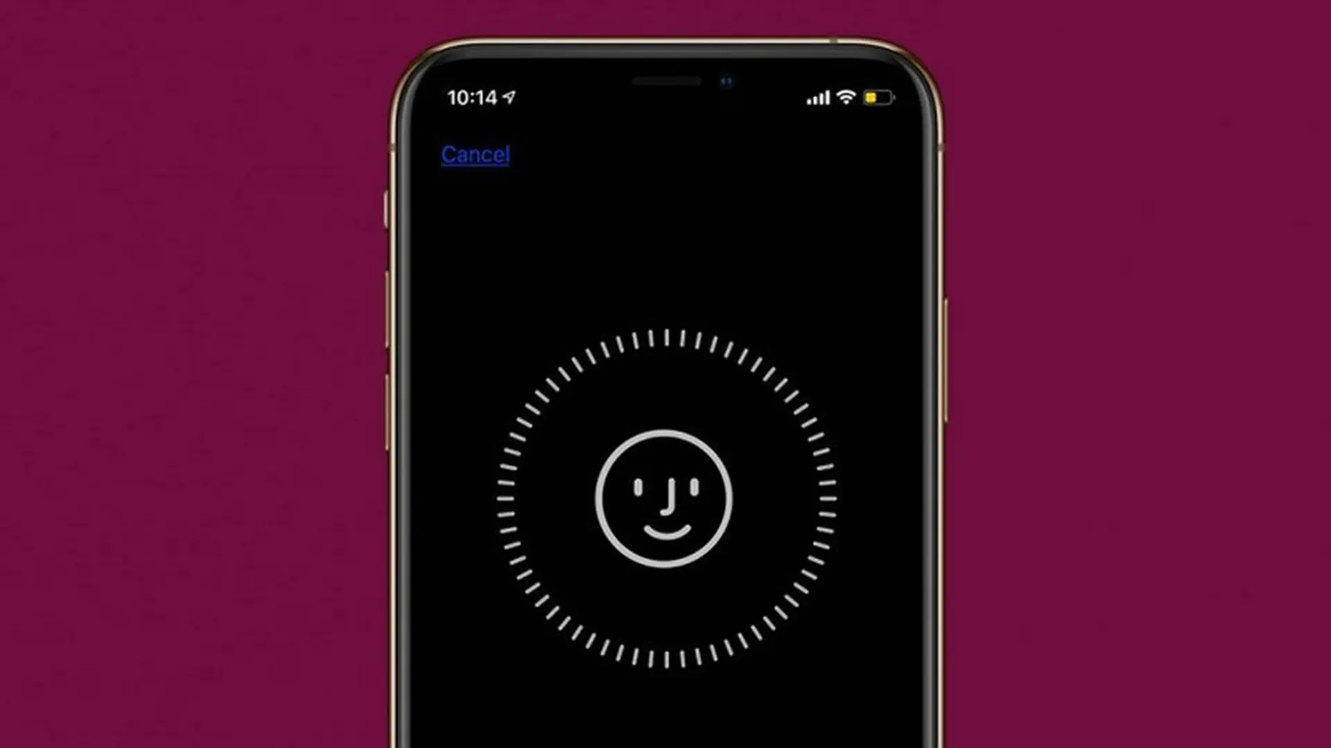 Thiết lập Face ID trên iPhone