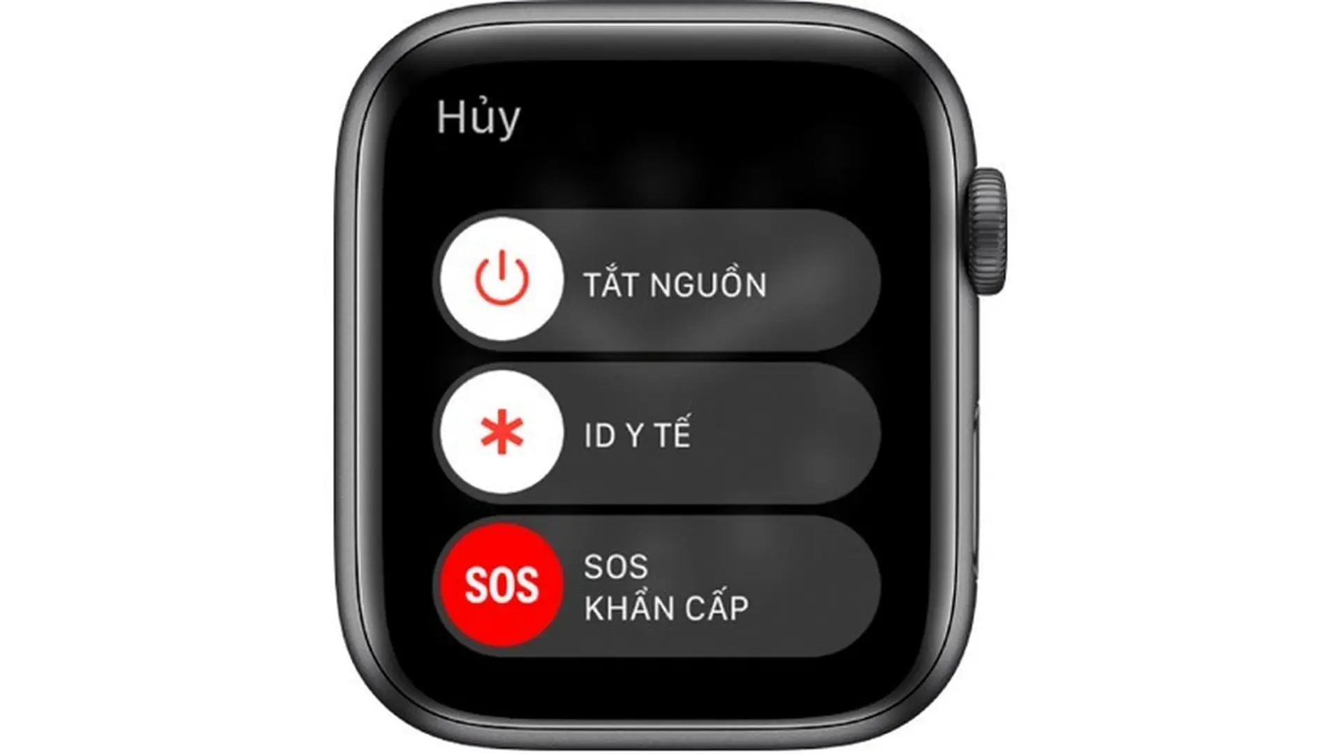 Bật nguồn và bật màn hình Apple Watch